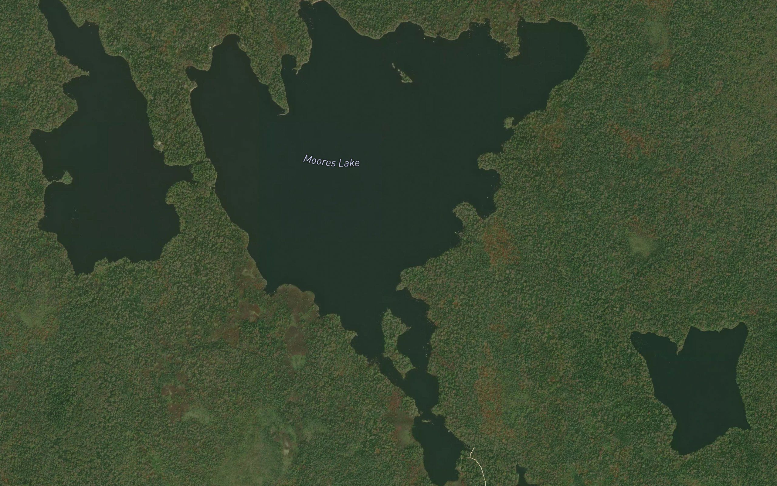 Moores Lake