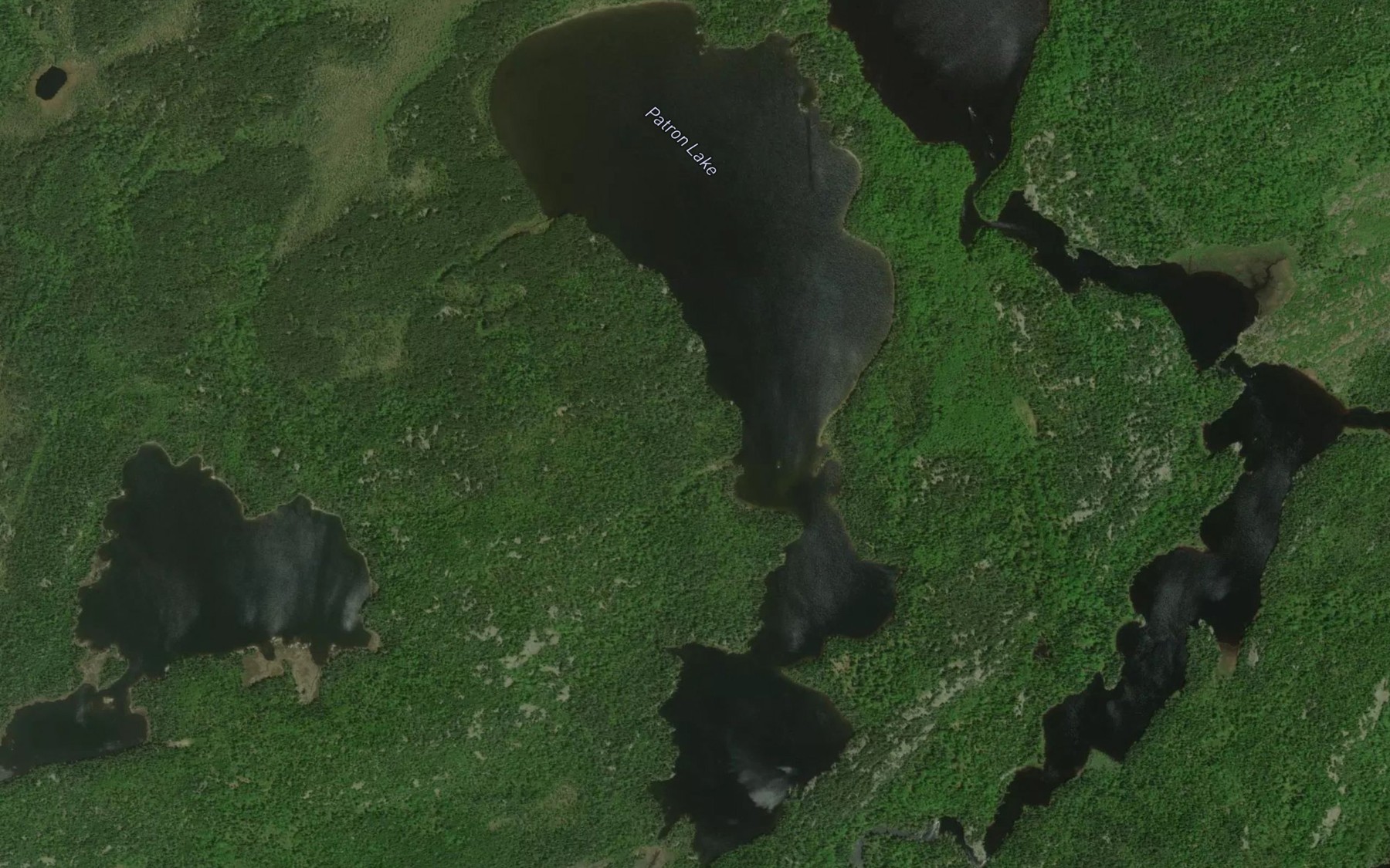 Satellite map of the Patron Lake