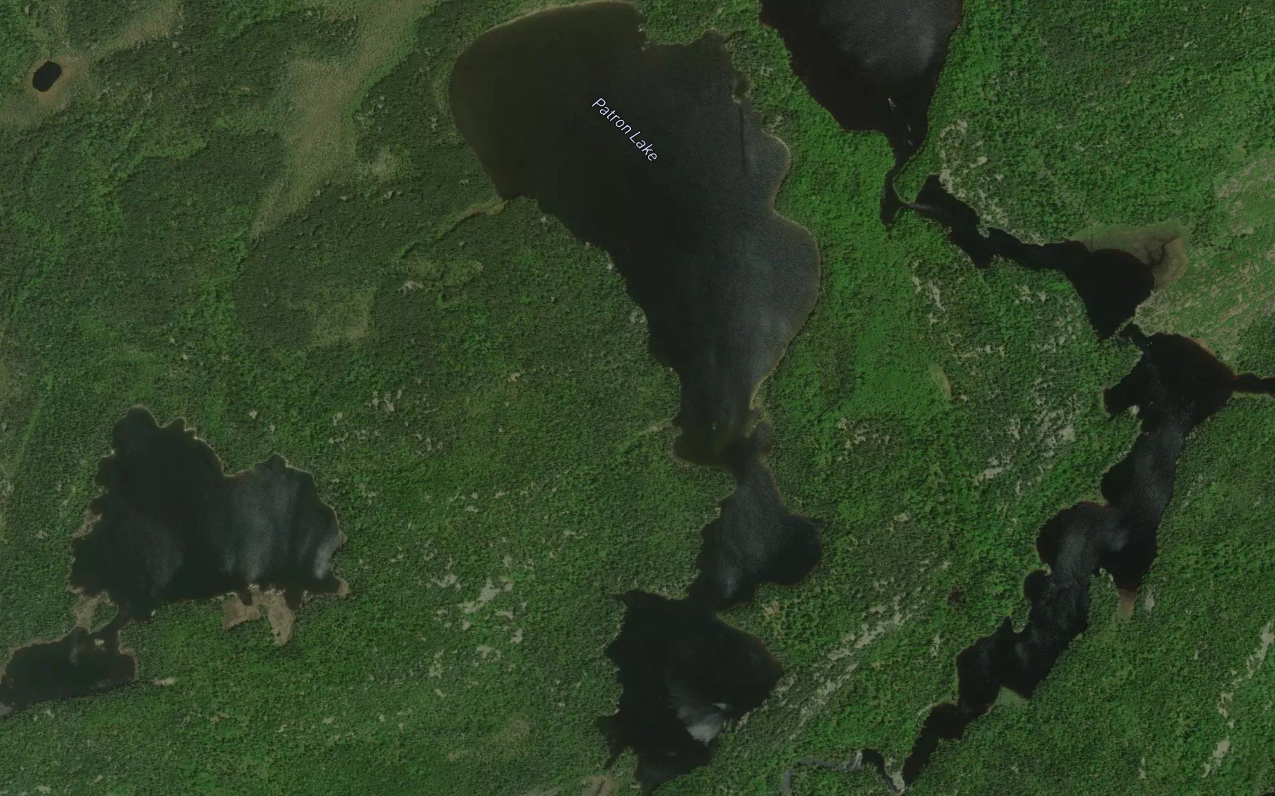 Patron Lake
