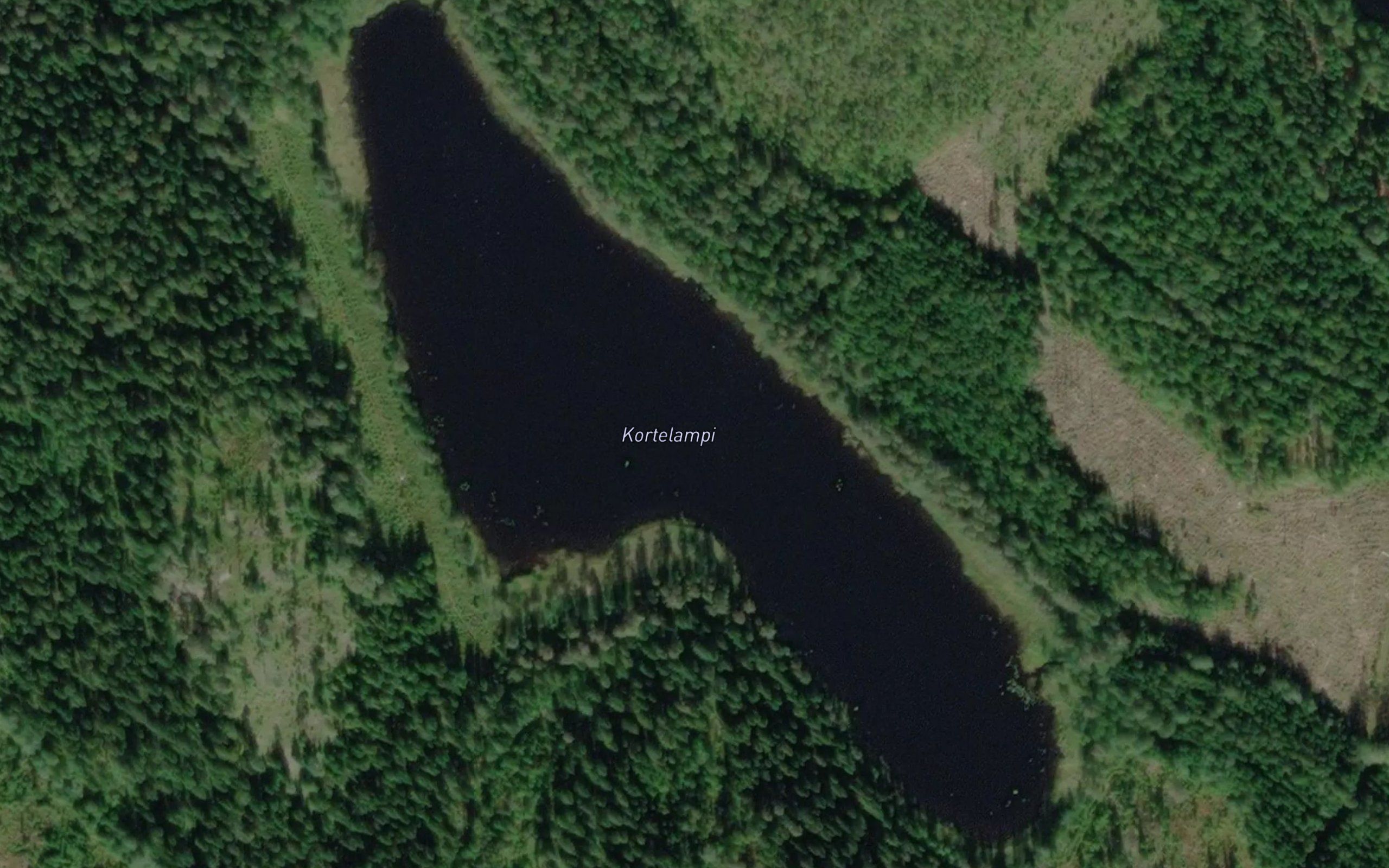 Kortelampi
