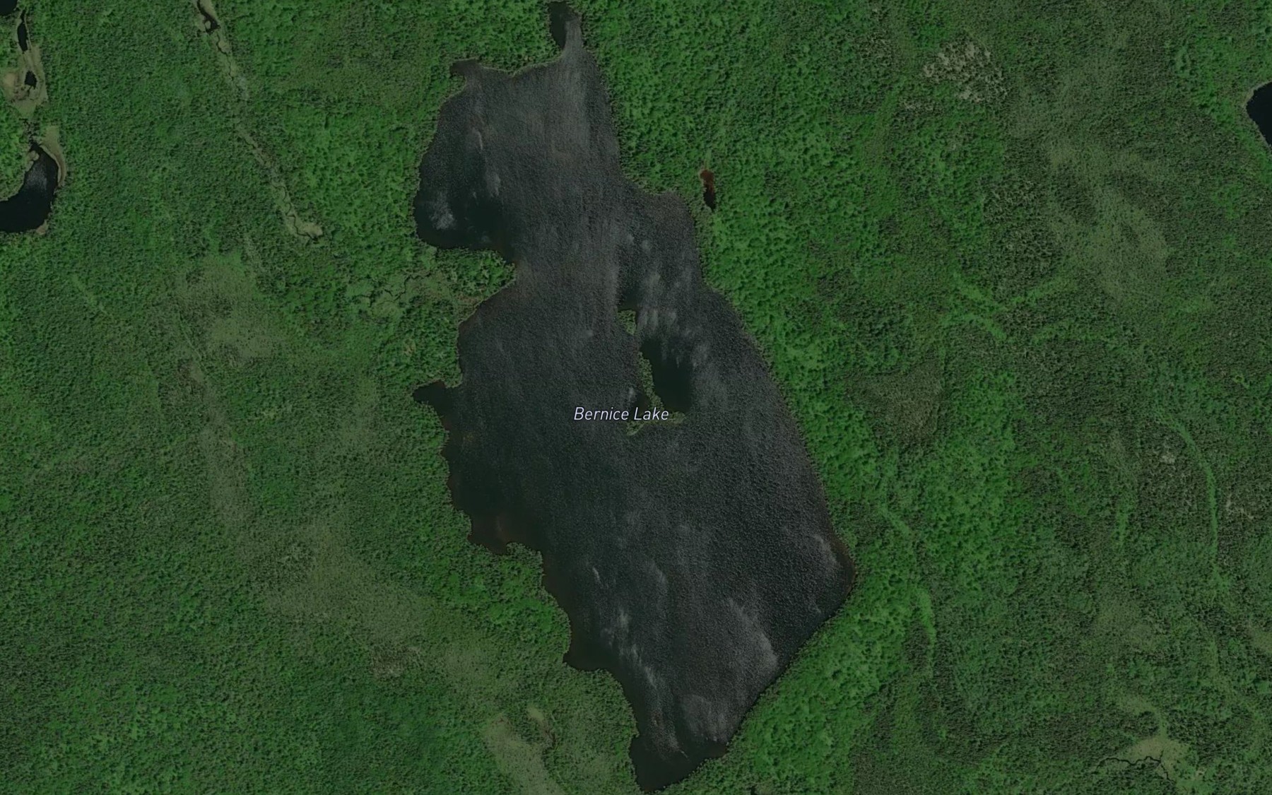 Satellite map of the Bernice Lake