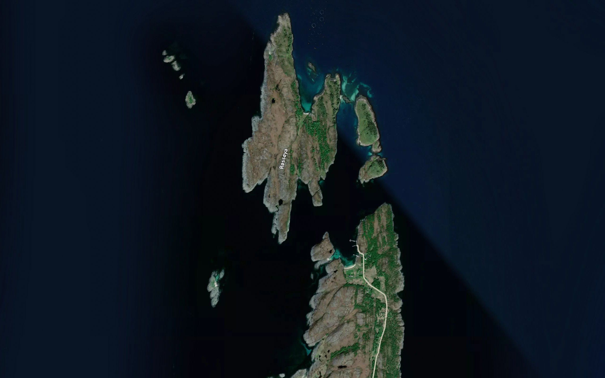 Skarvbergvika