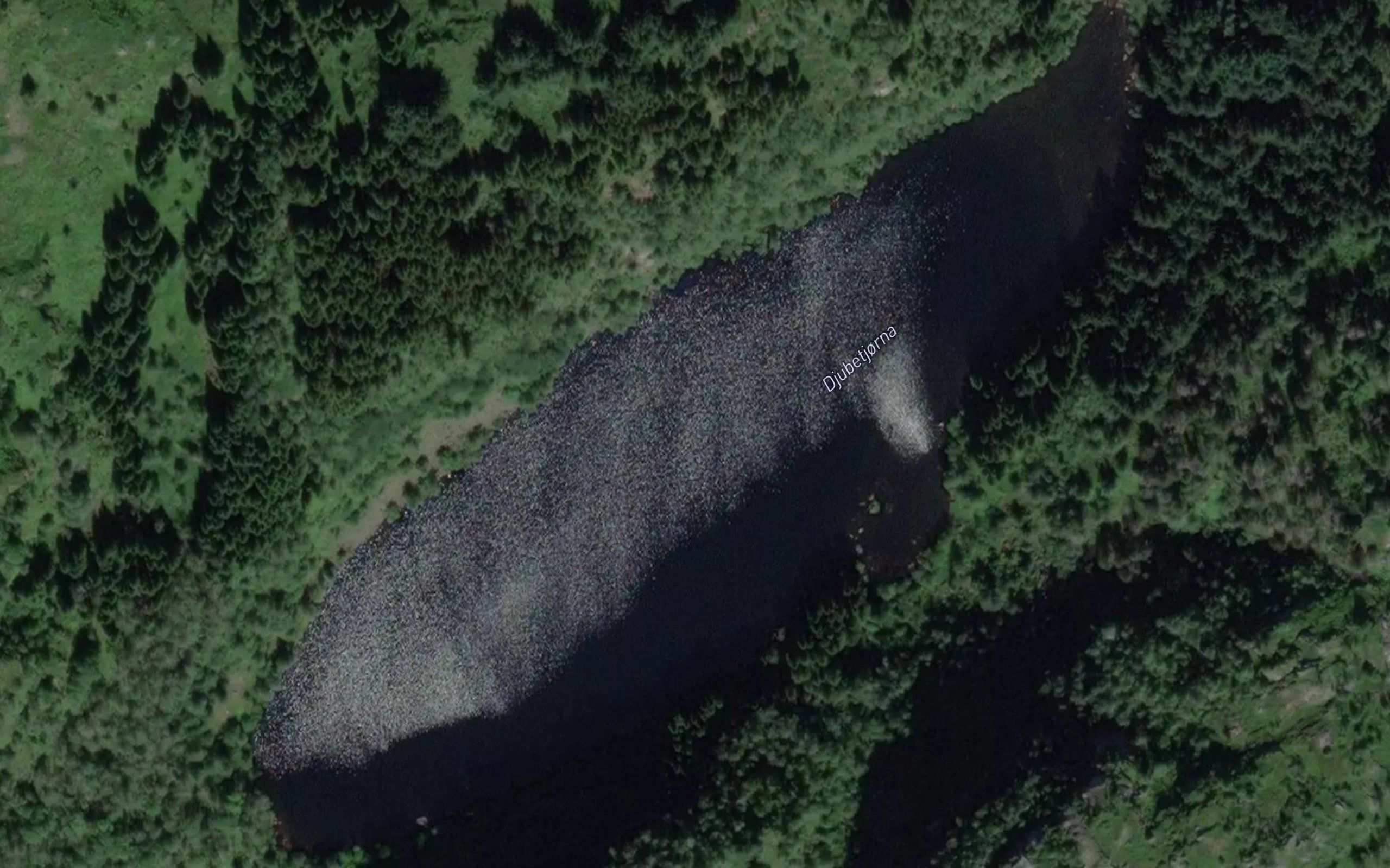 Djubetjorna