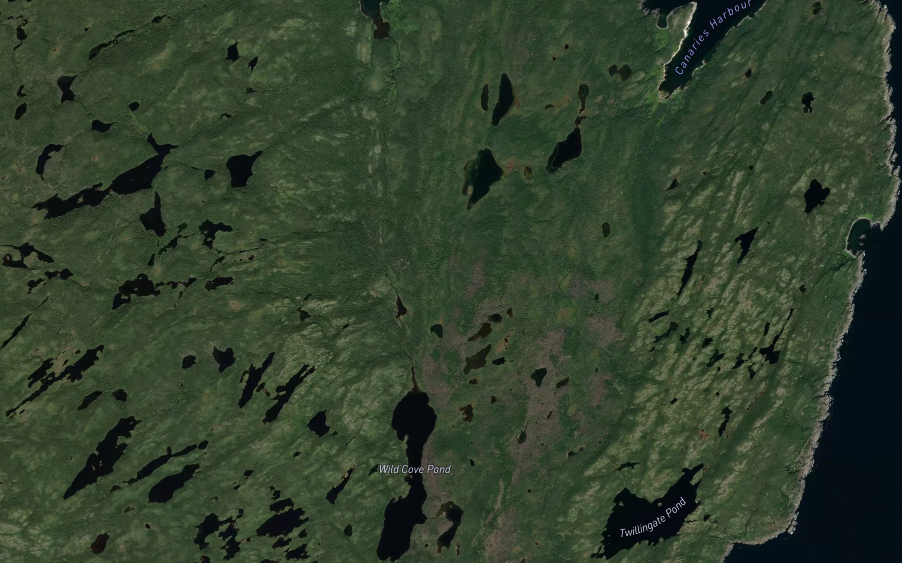 Satellite map of the Island Pond