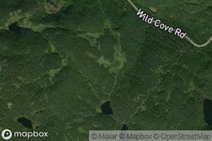 Wild Cove Brook