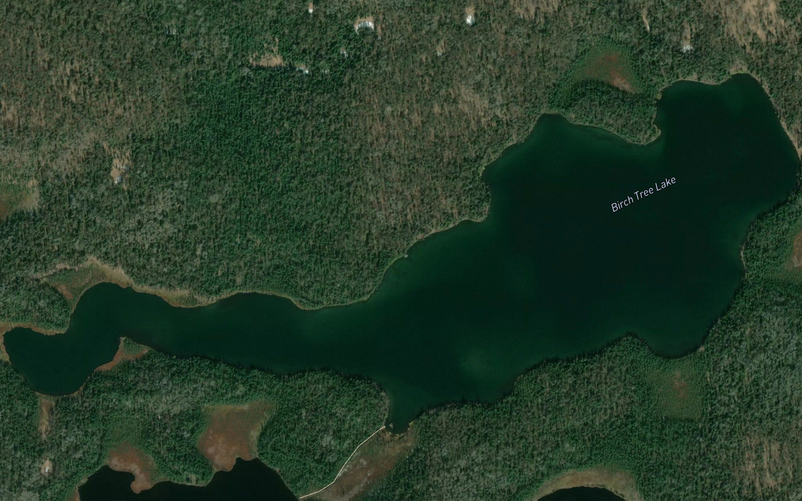 Birch Tree Lake