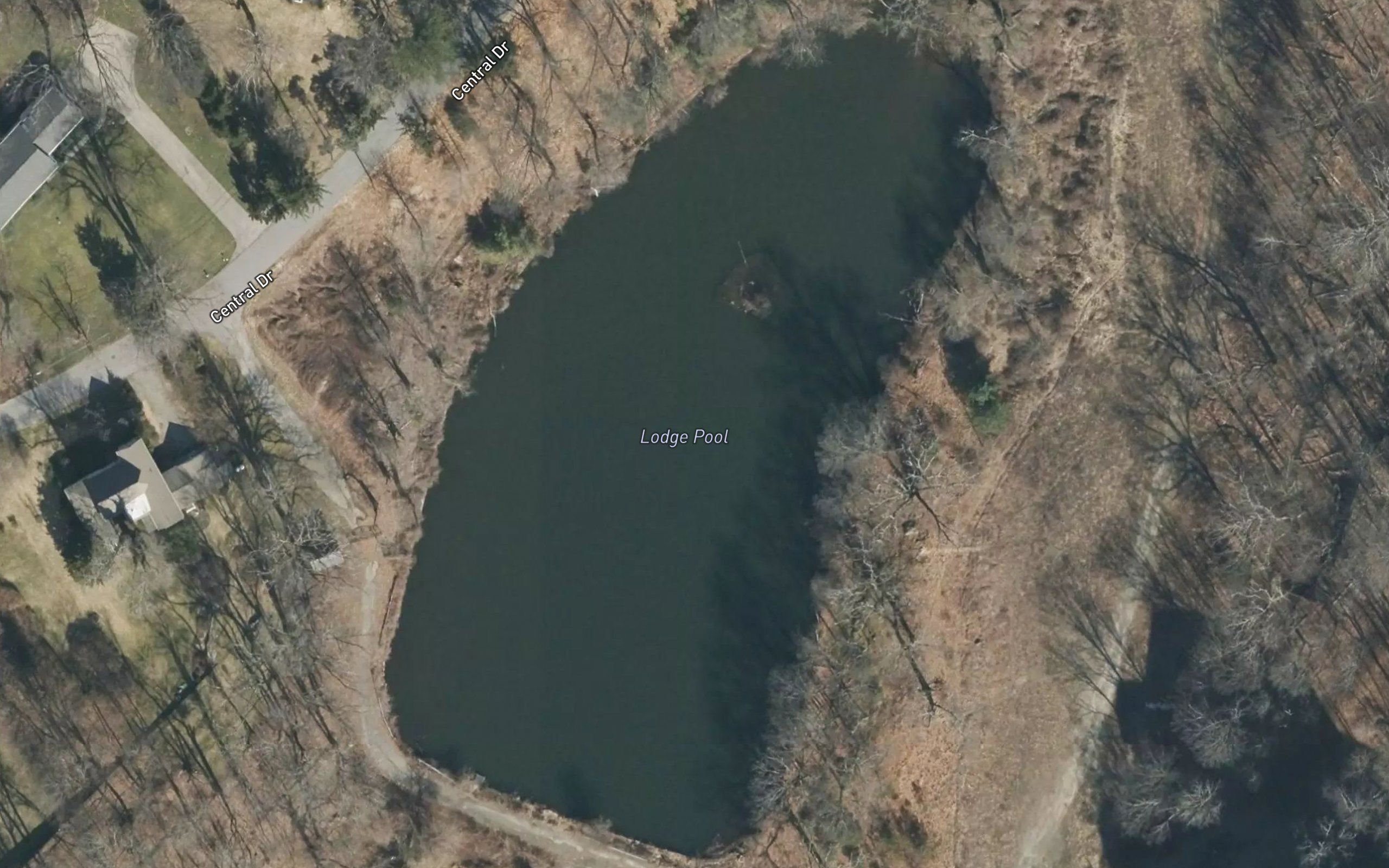 Lodge Pool