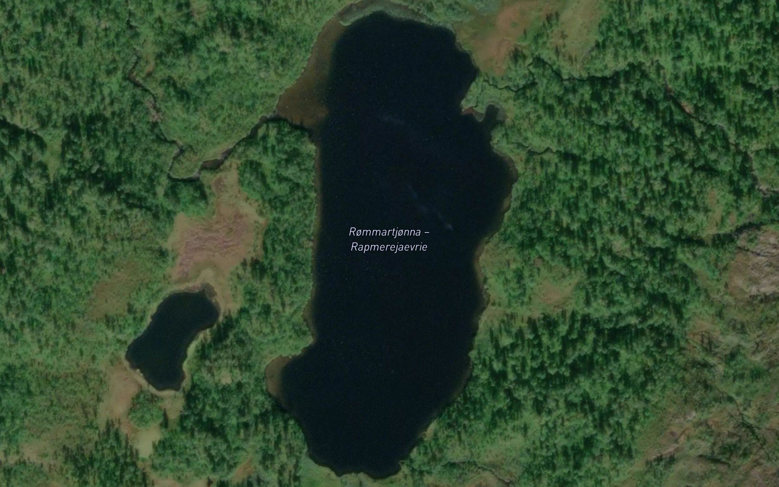 Rommartjorna