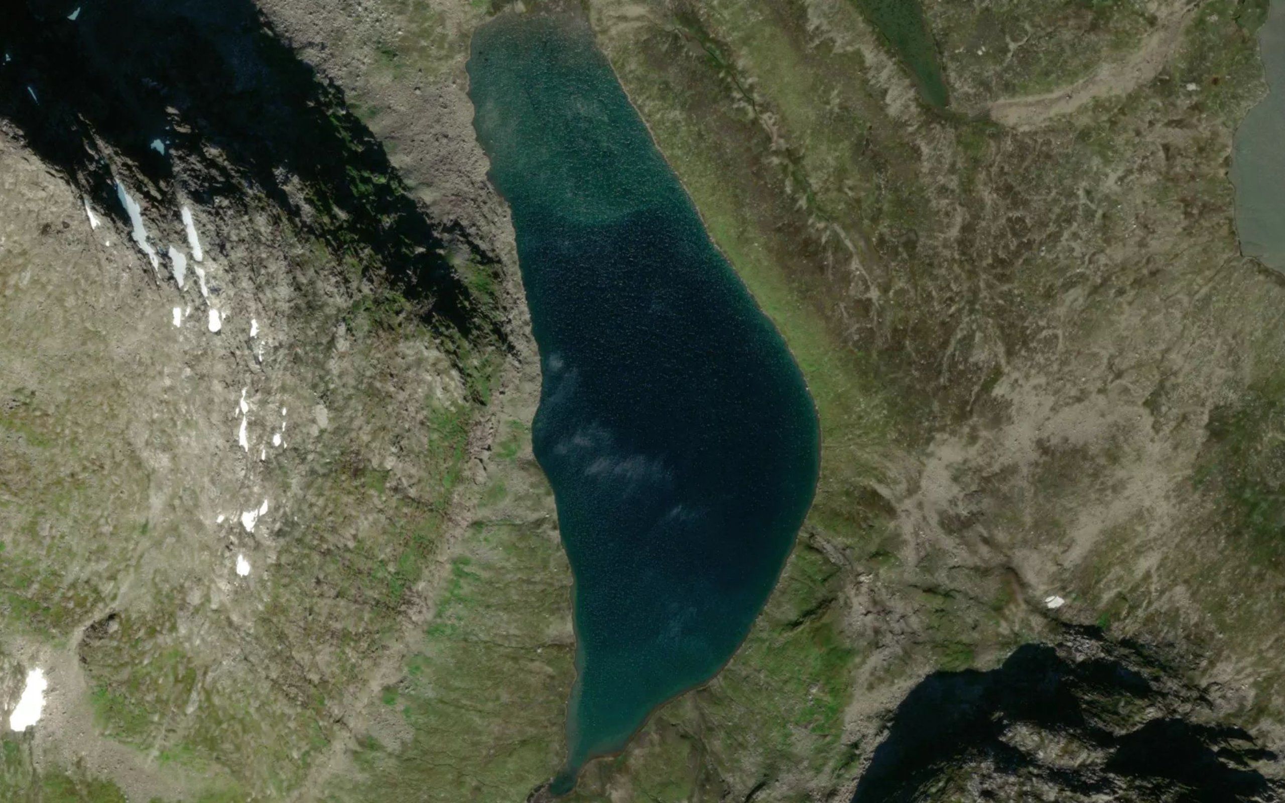 Grontjorna