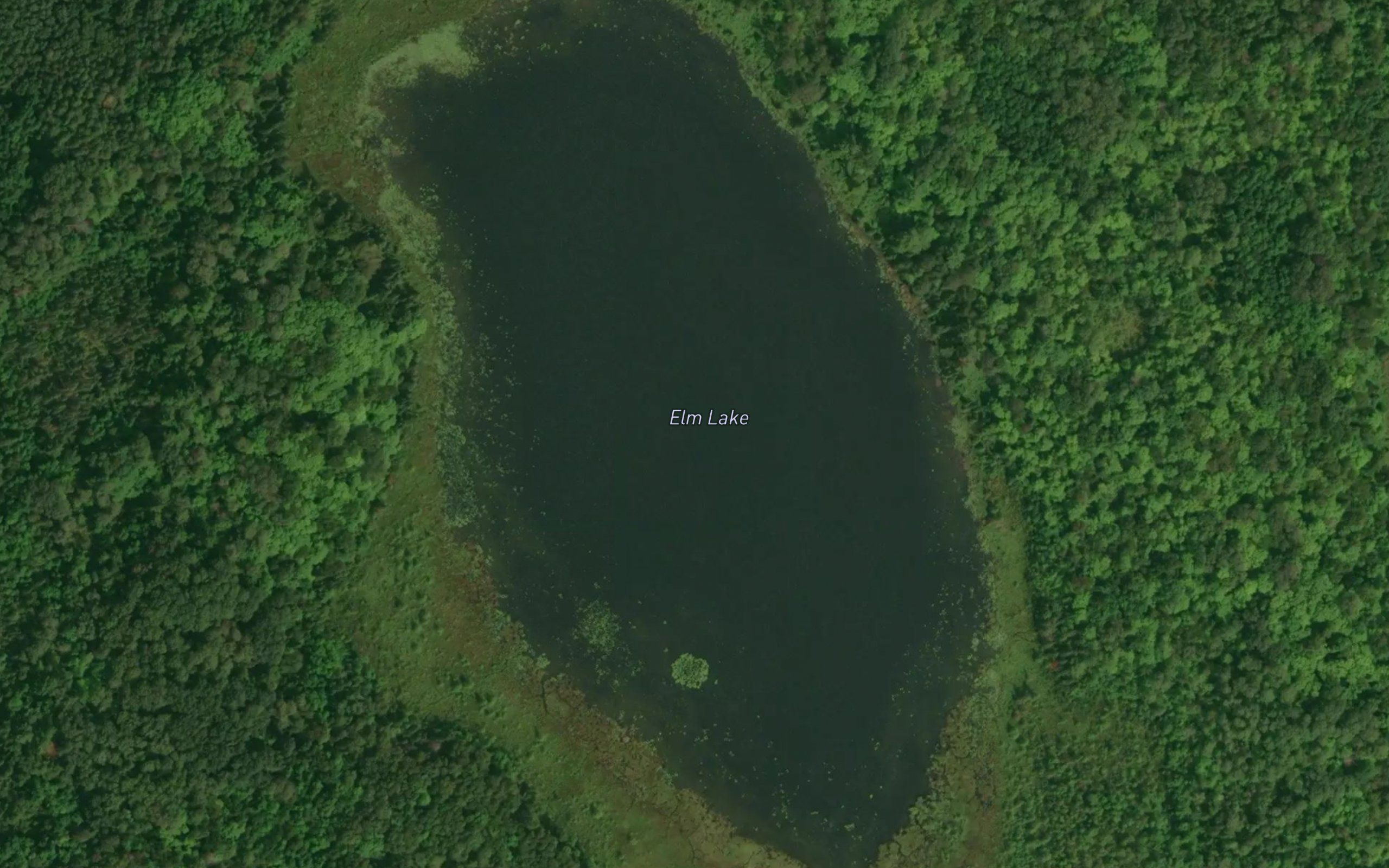 Elm Lake