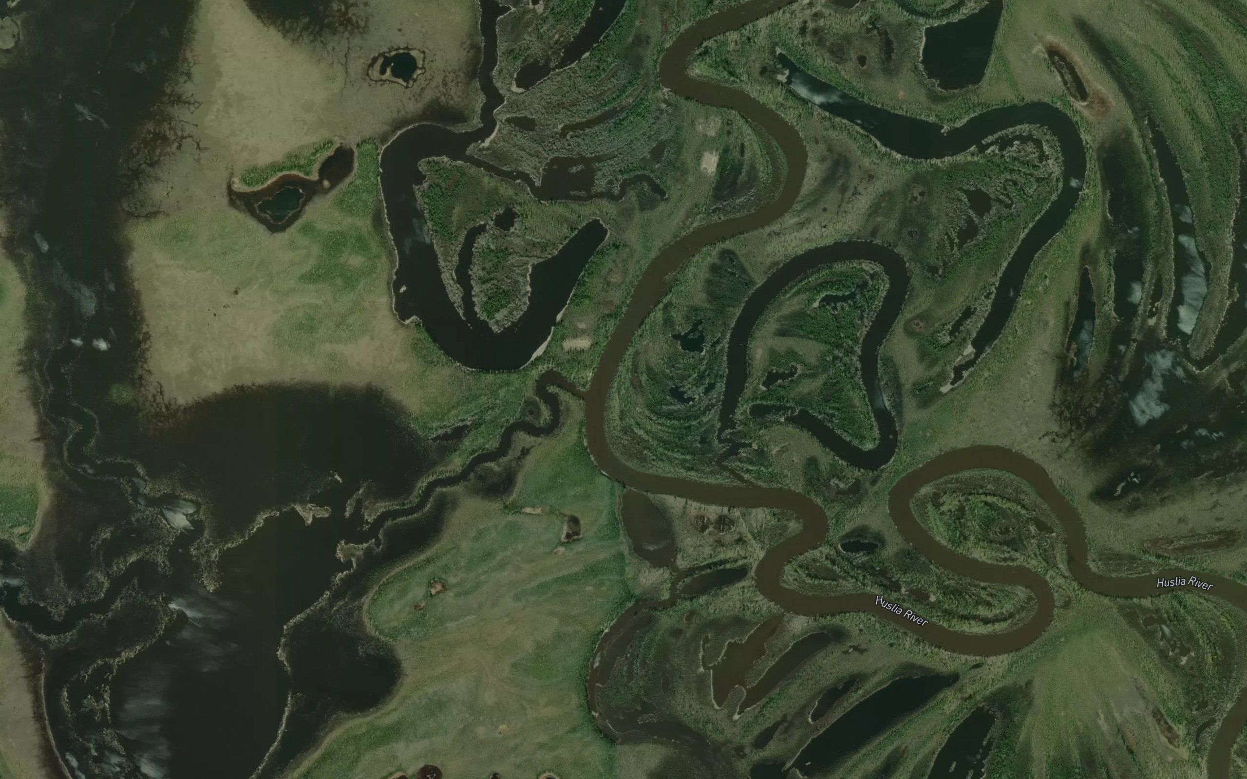 First Hills Slough