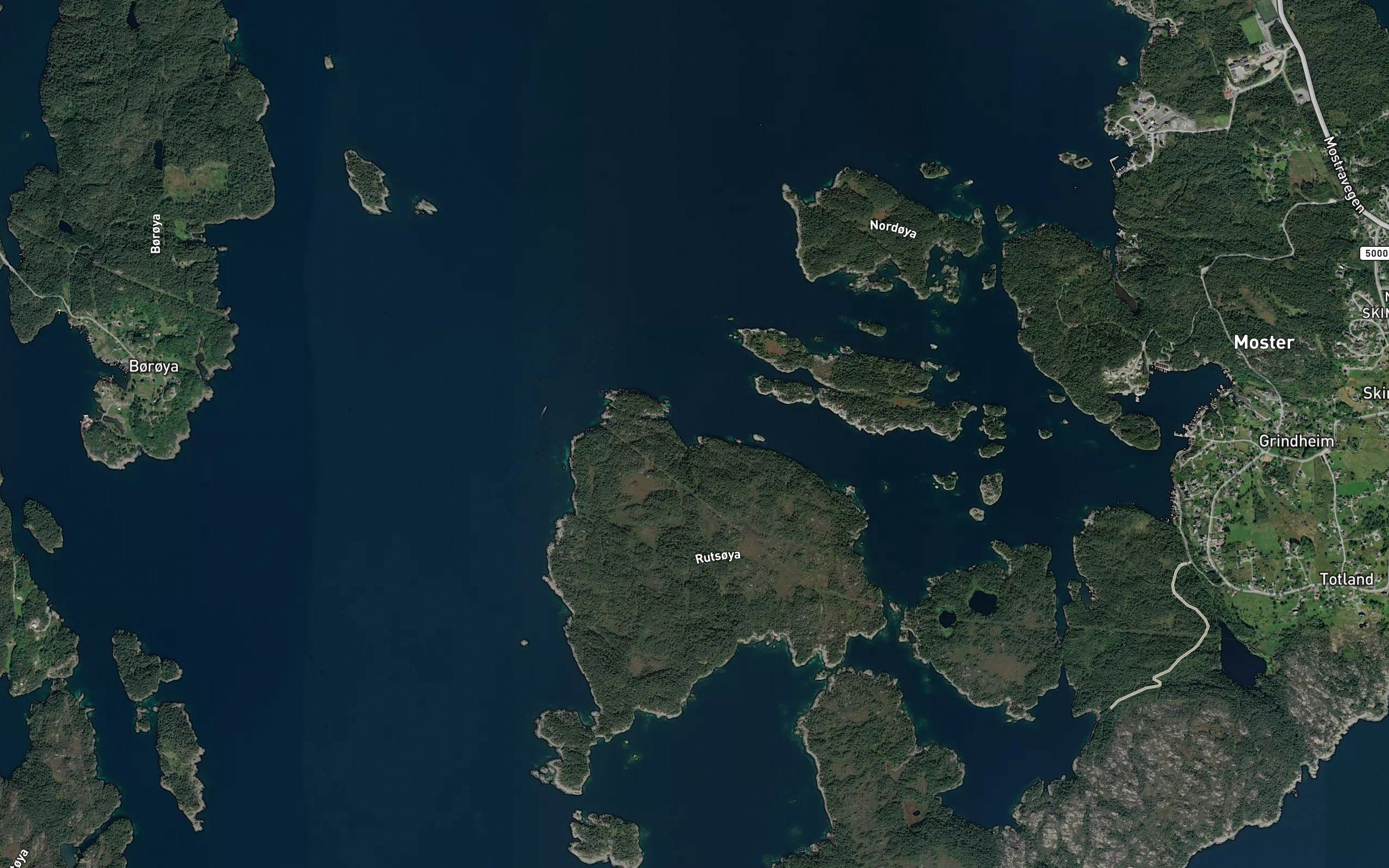 Skatmulsvika