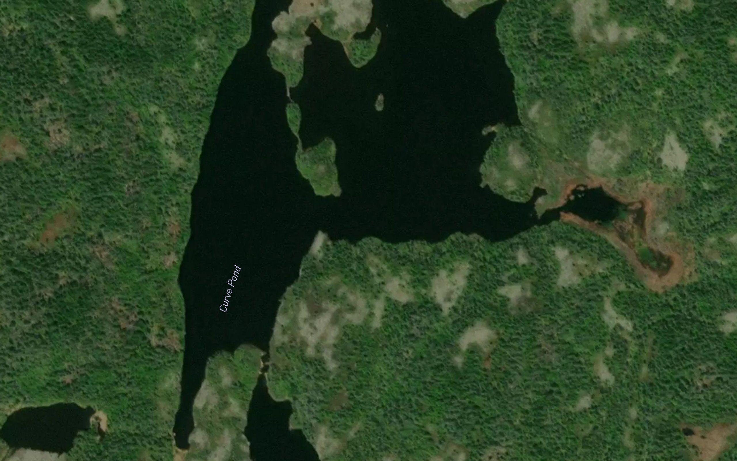 Curve Pond