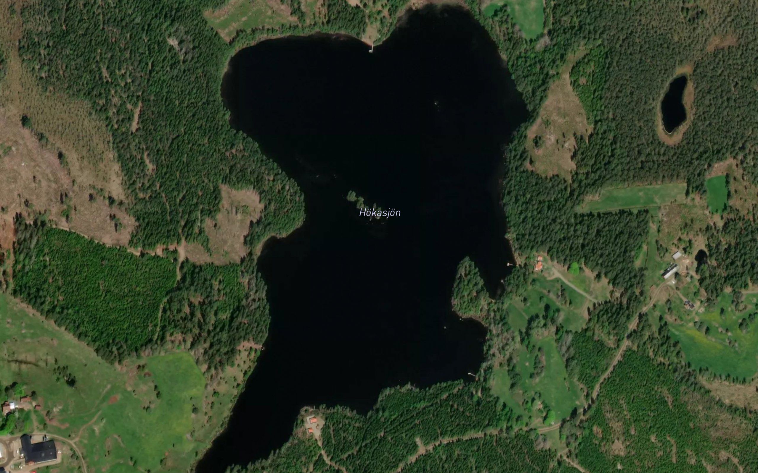 Hoekasjoen