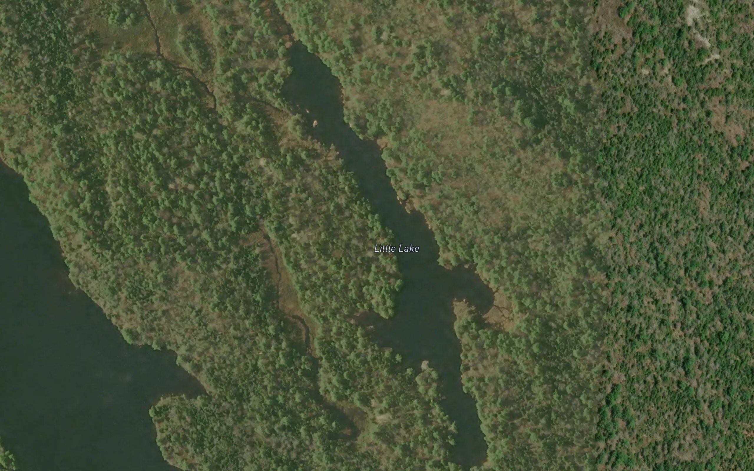 Little Lake