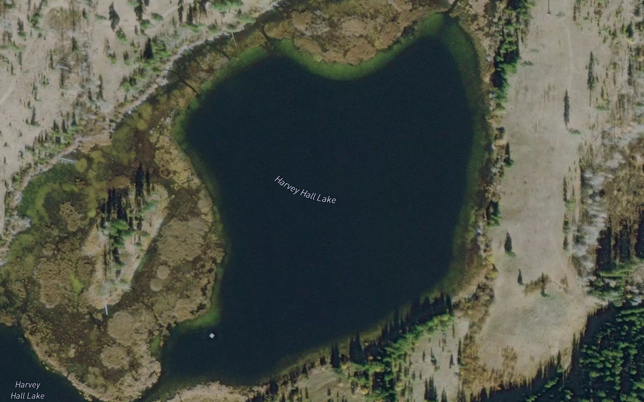 Harvey Hall Lake