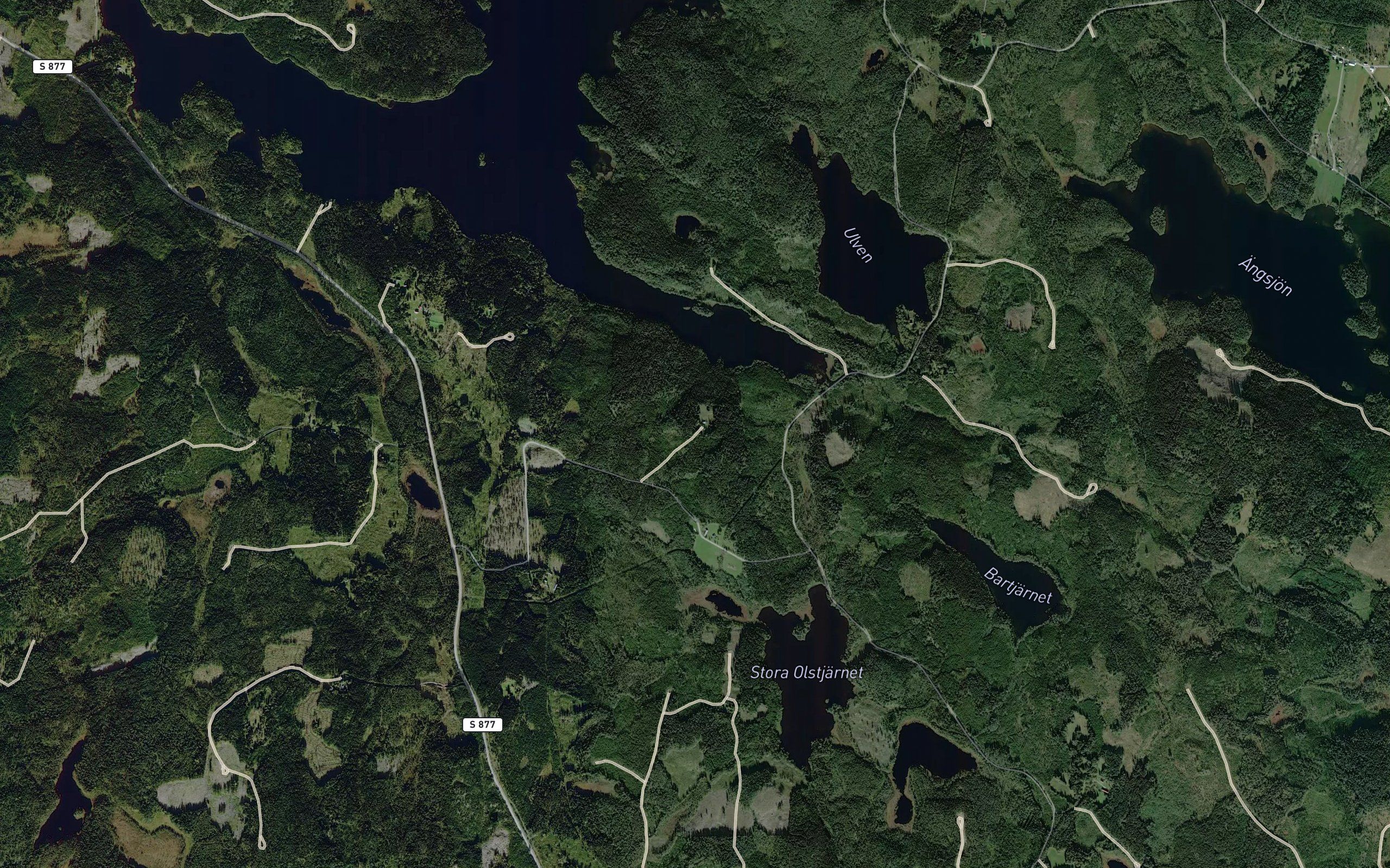 Ulven