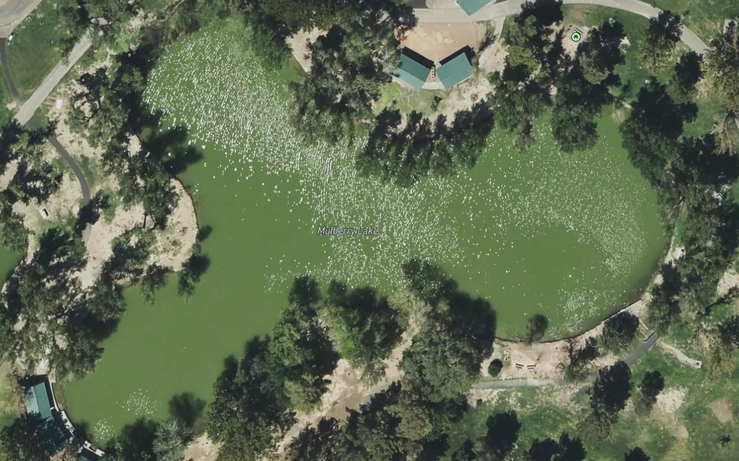 Mulberry Lake