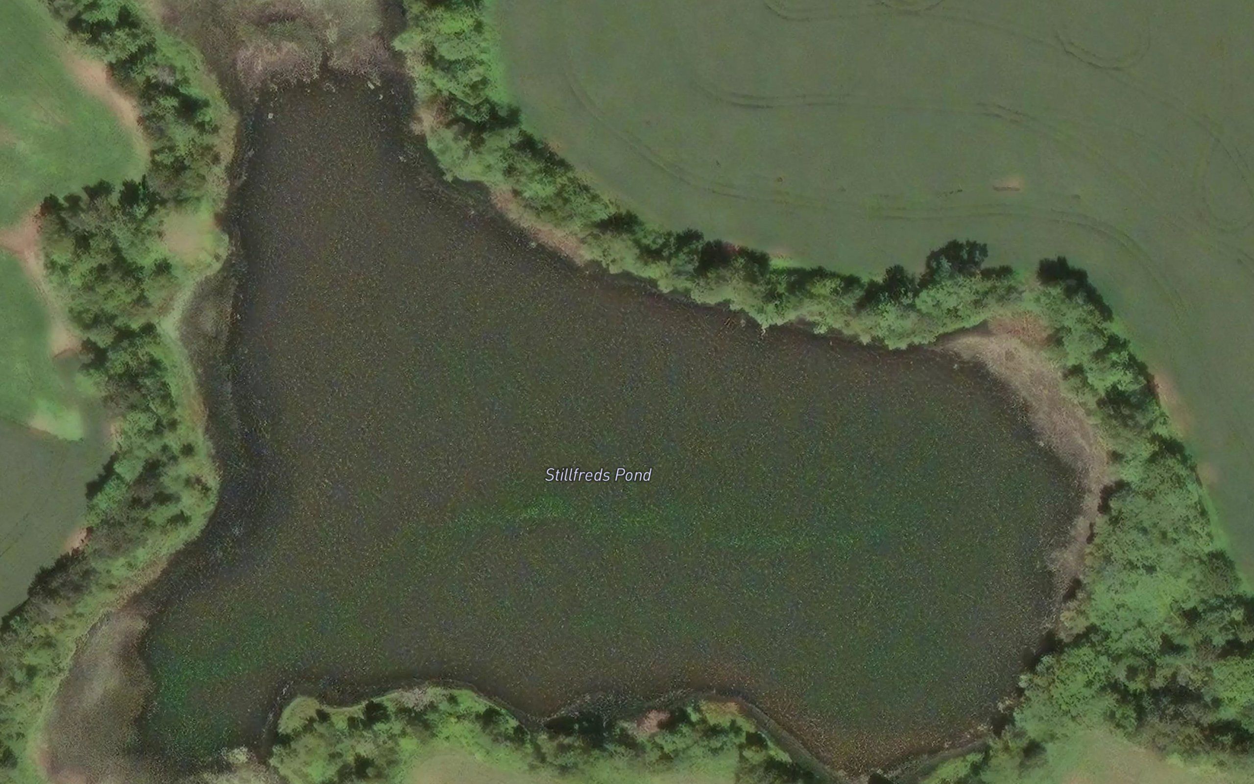 Stillfreds Pond