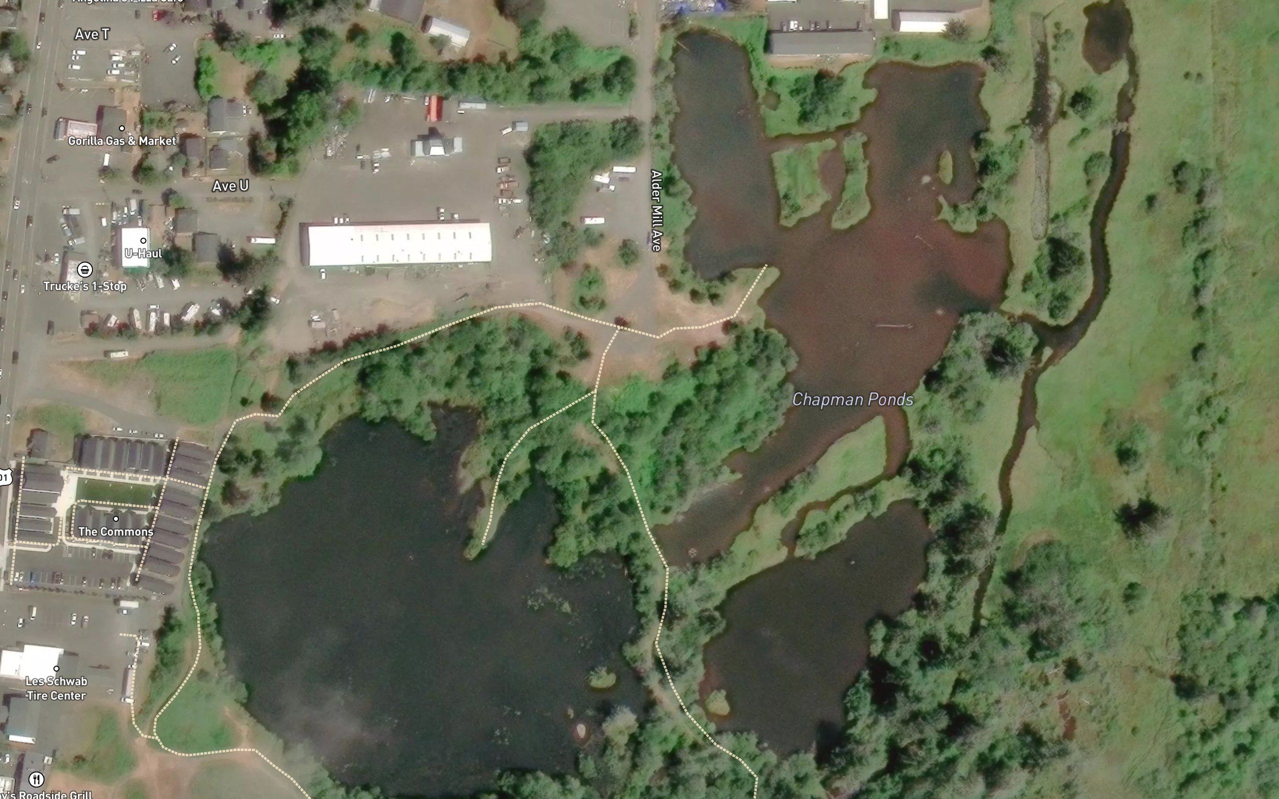 Chapman Ponds