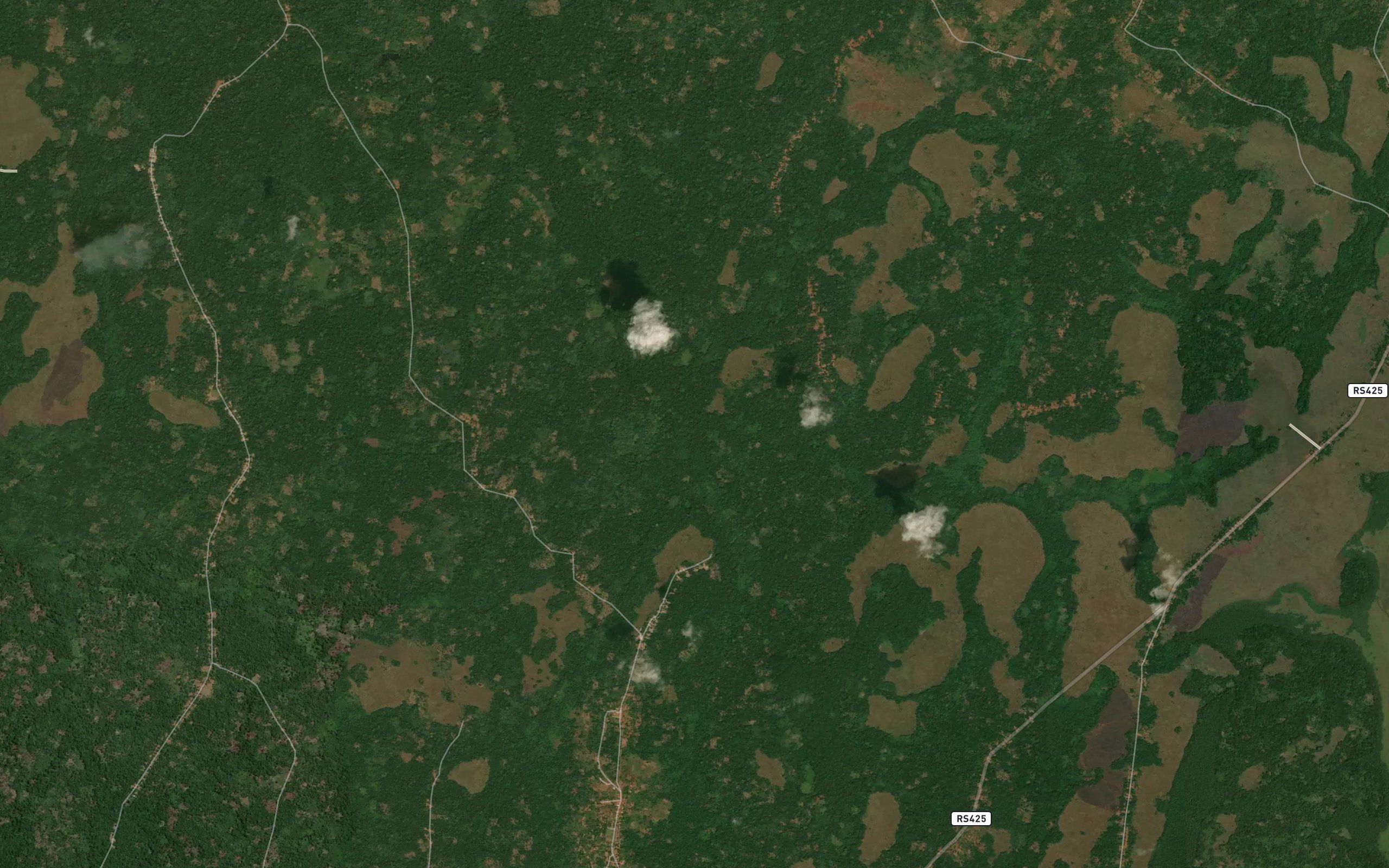 Kwakwanzi