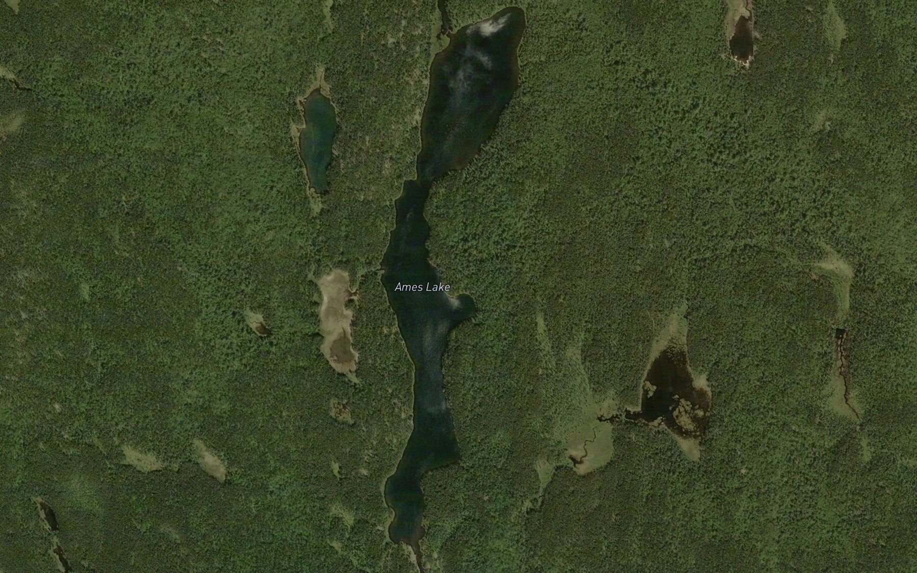 Satellite map of the Ames Lake