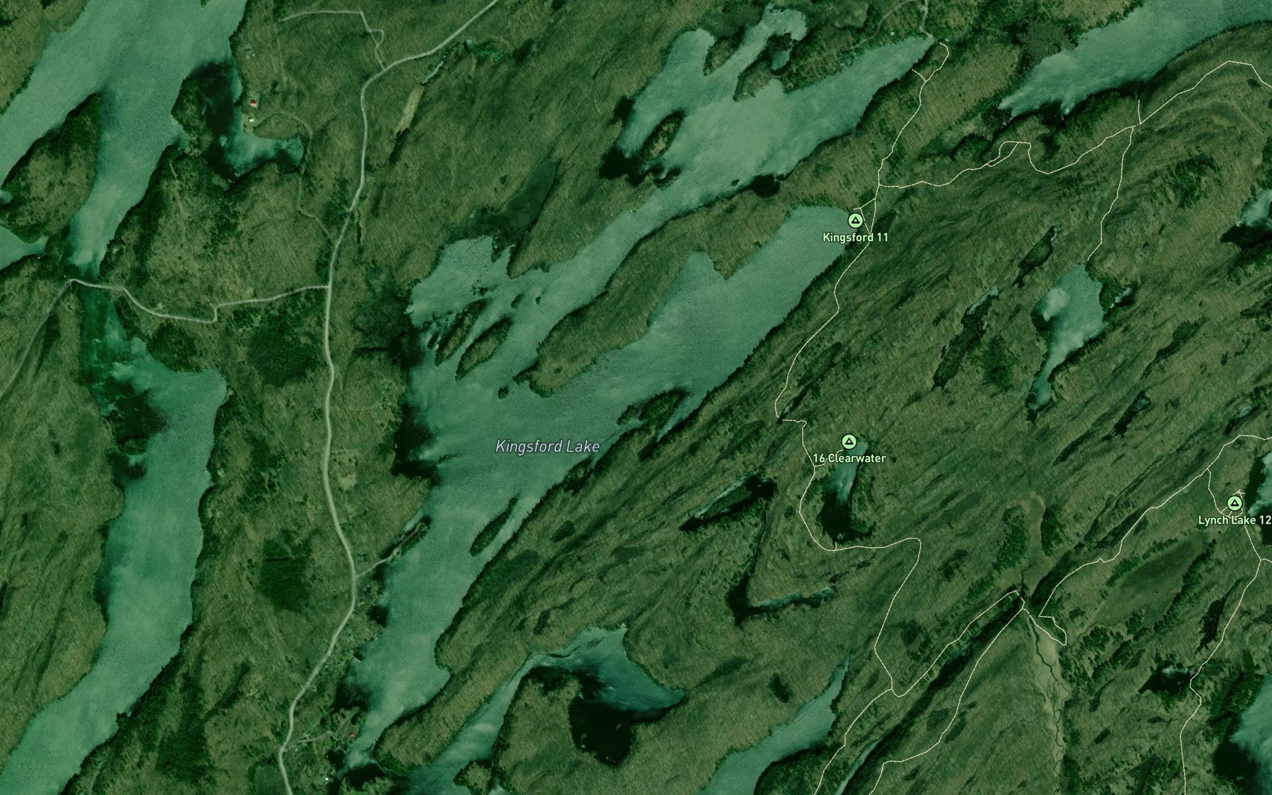Satellite map of the Kingsford Lake