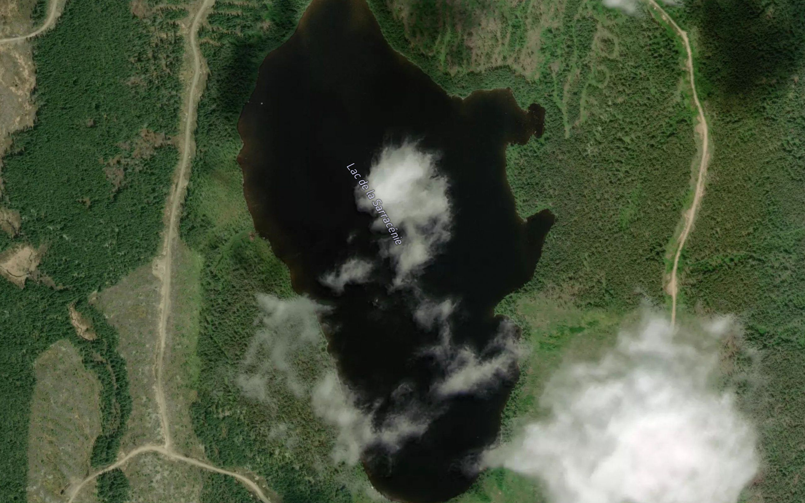 Lac de la Sarracenie