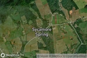 Sycamore Spring