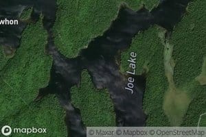 Joe Lake