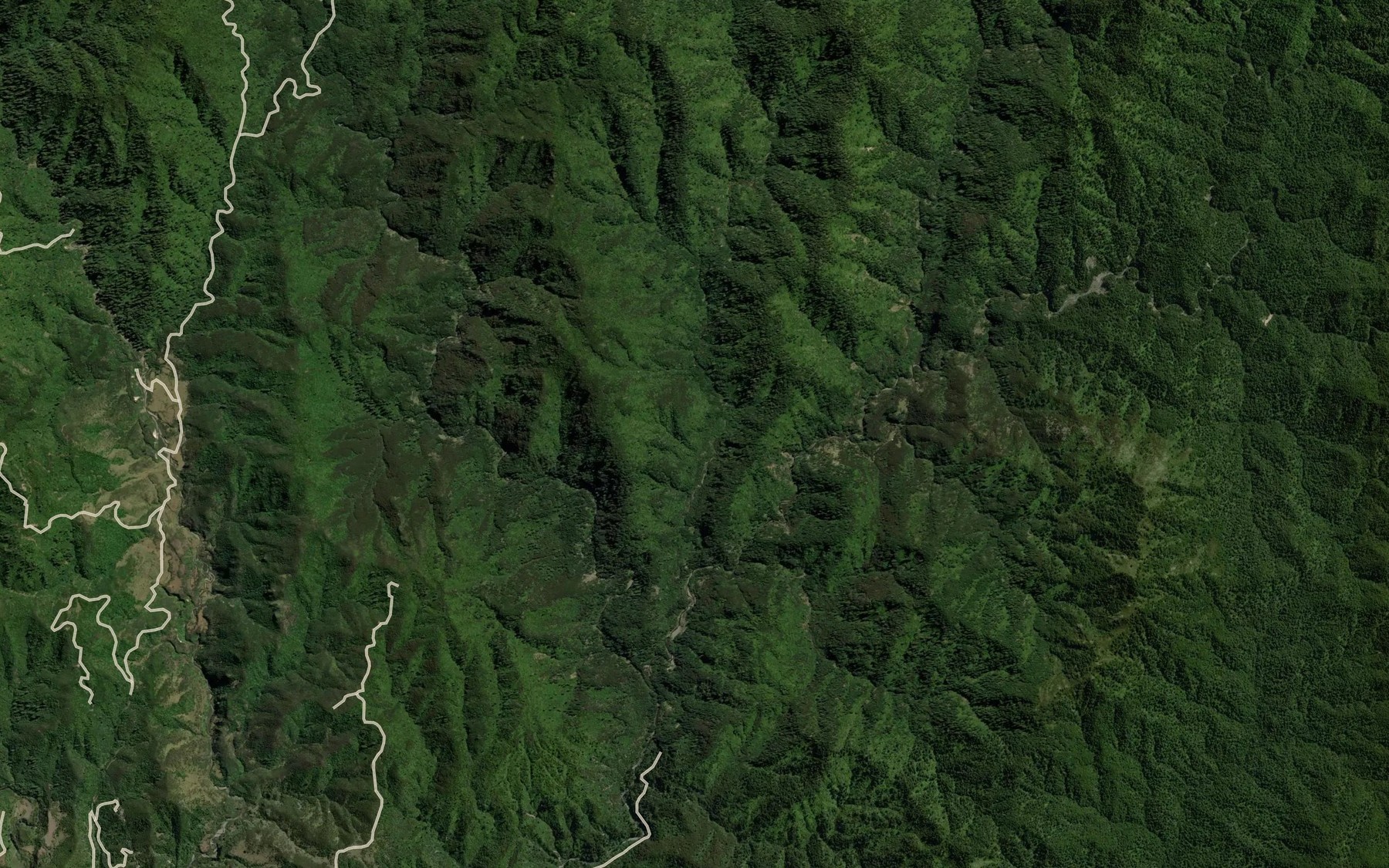 Satellite map of the Mokomokonui River