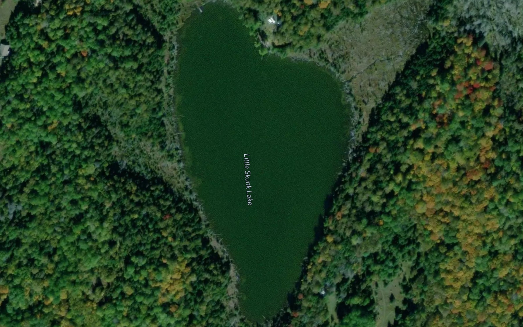 Satellite map of the Little Skunk Lake