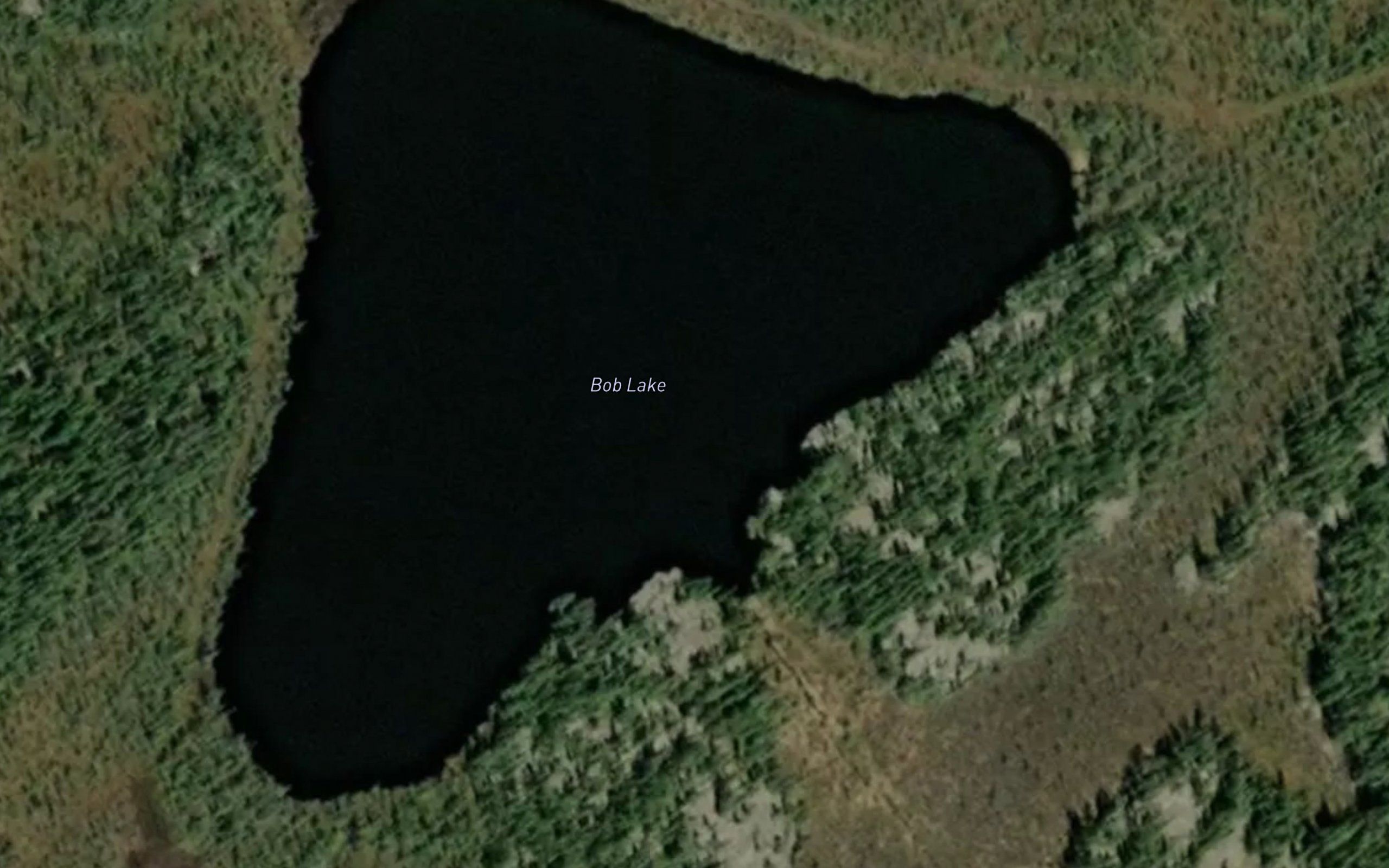 Bob Lake