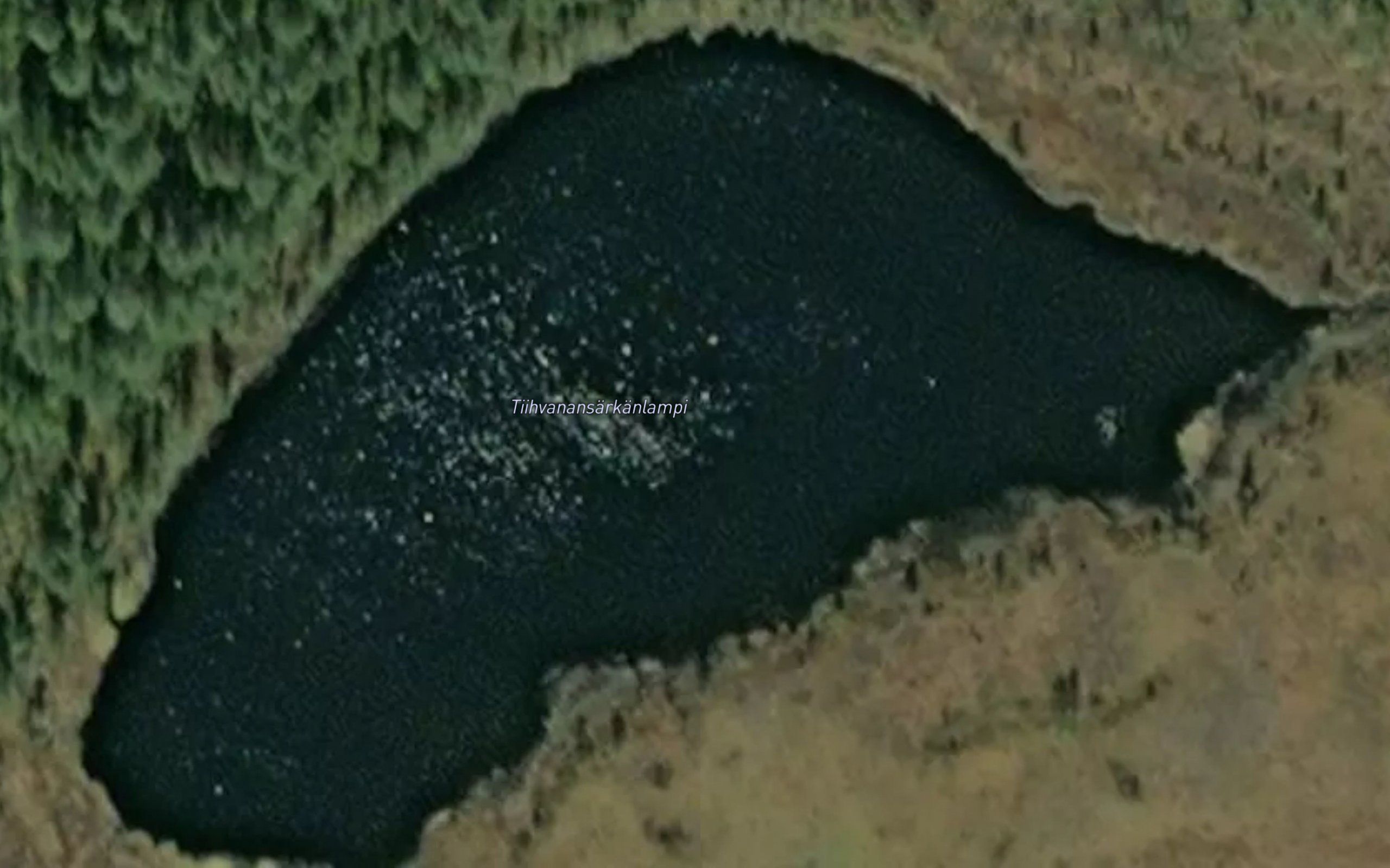 Tiihvanansarkanlampi