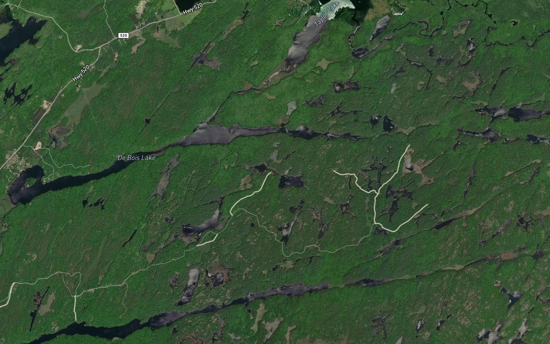 Satellite map of the Johnson Lake
