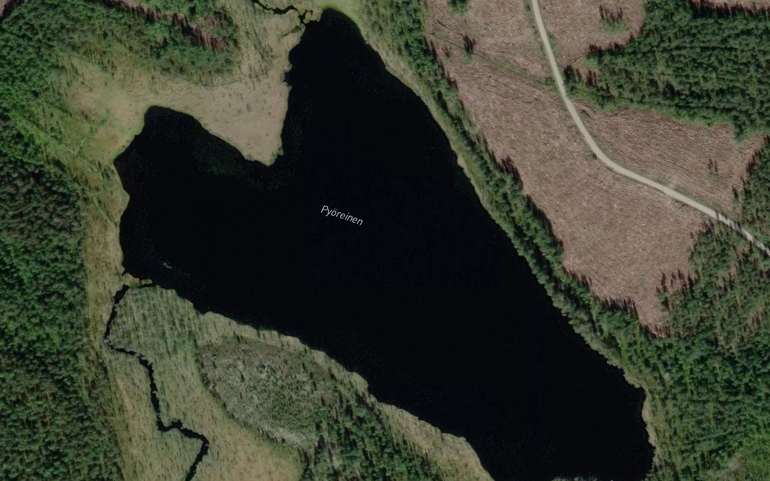 Pyoreinen