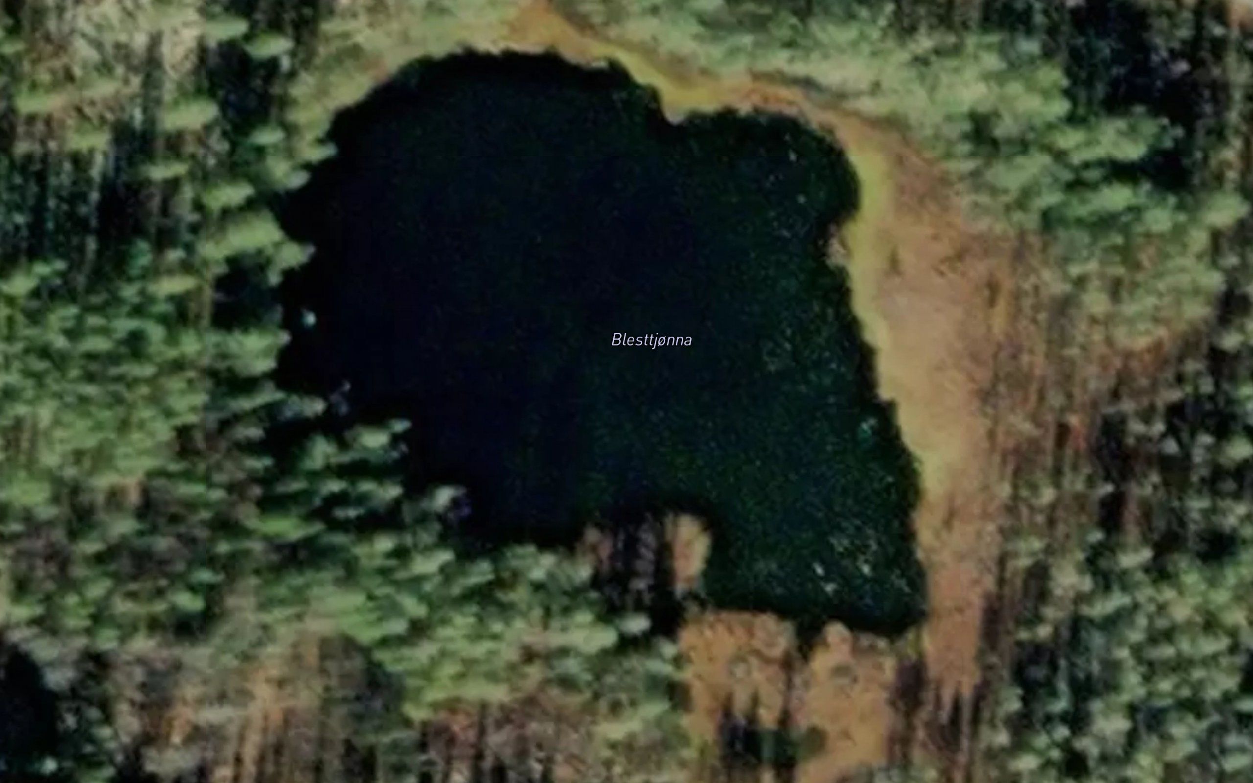 Blesttjorn
