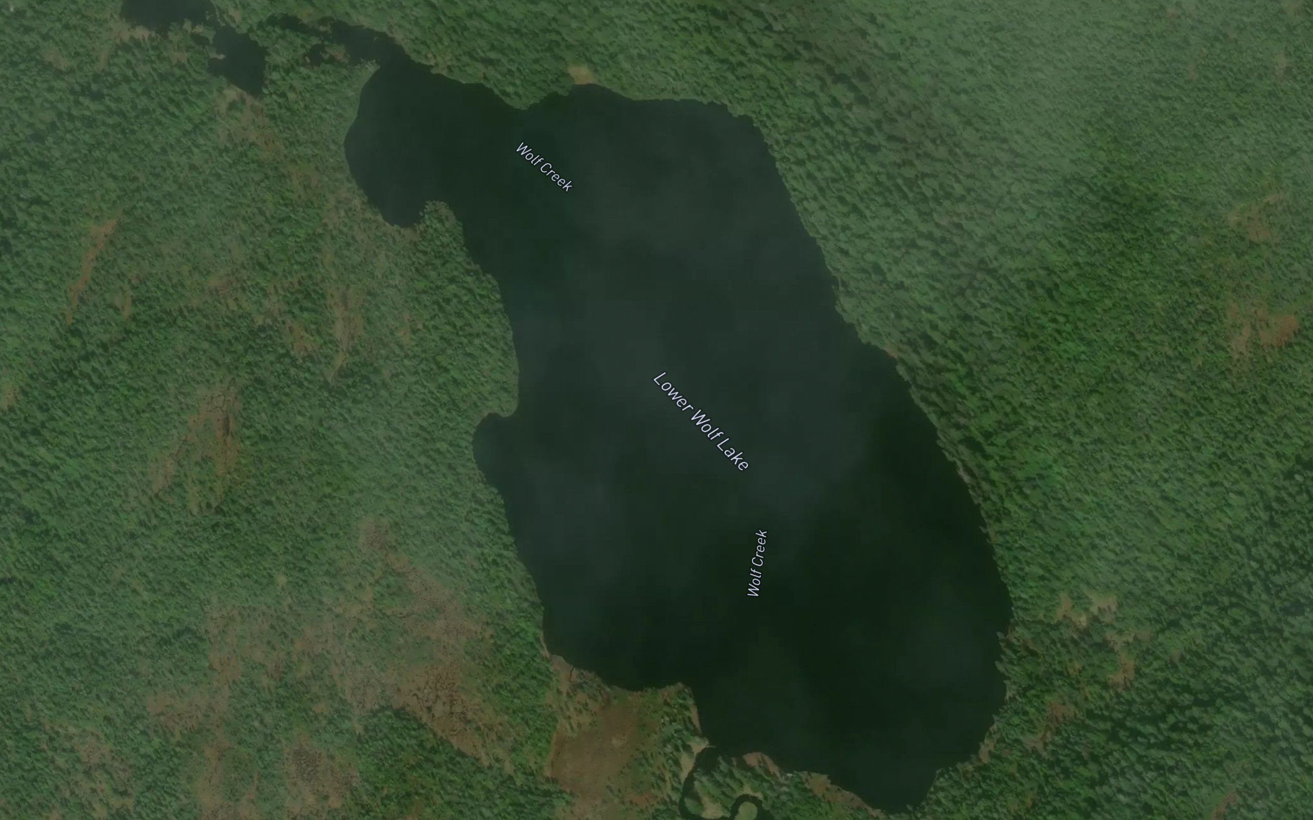 Lower Wolf Lake