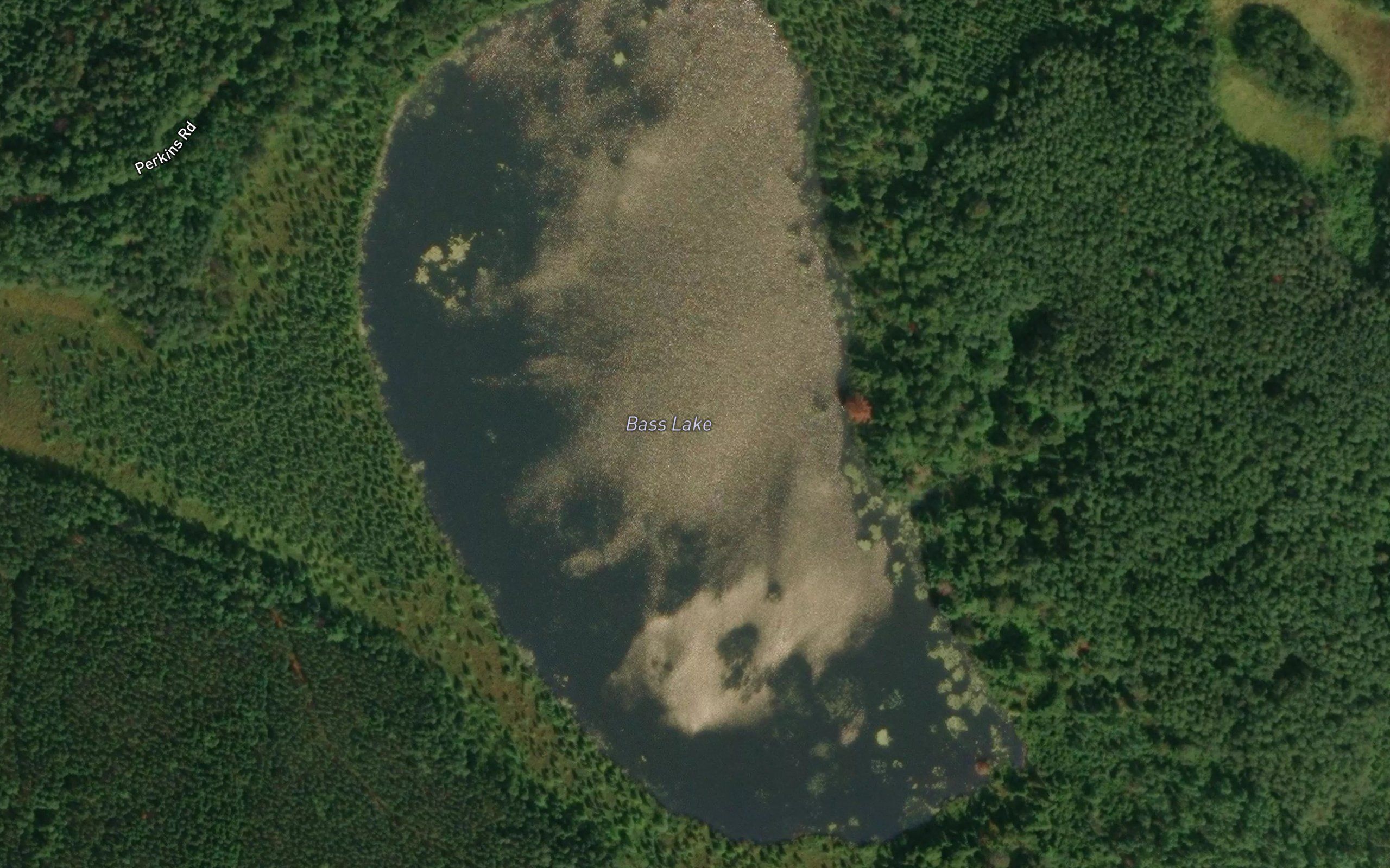 Bass Lake