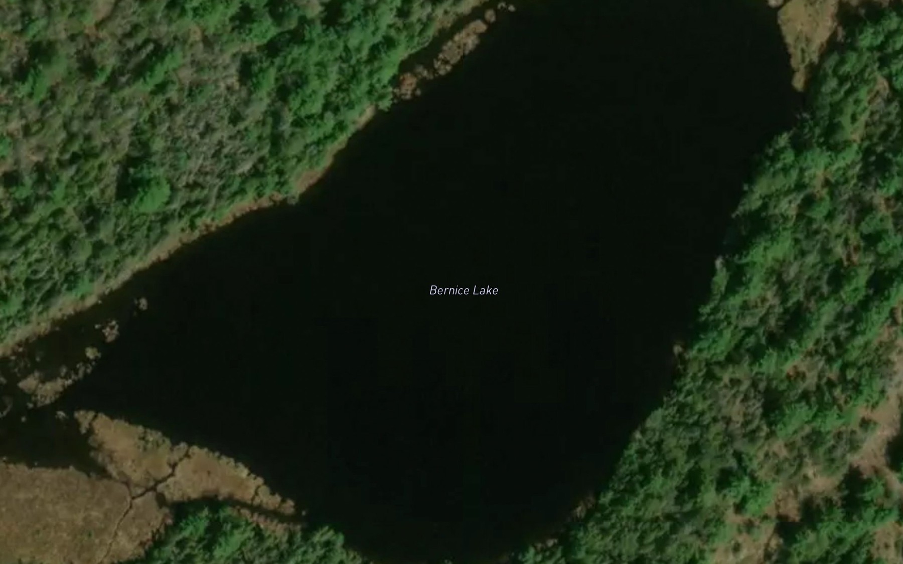 Satellite map of the Bernice Lake