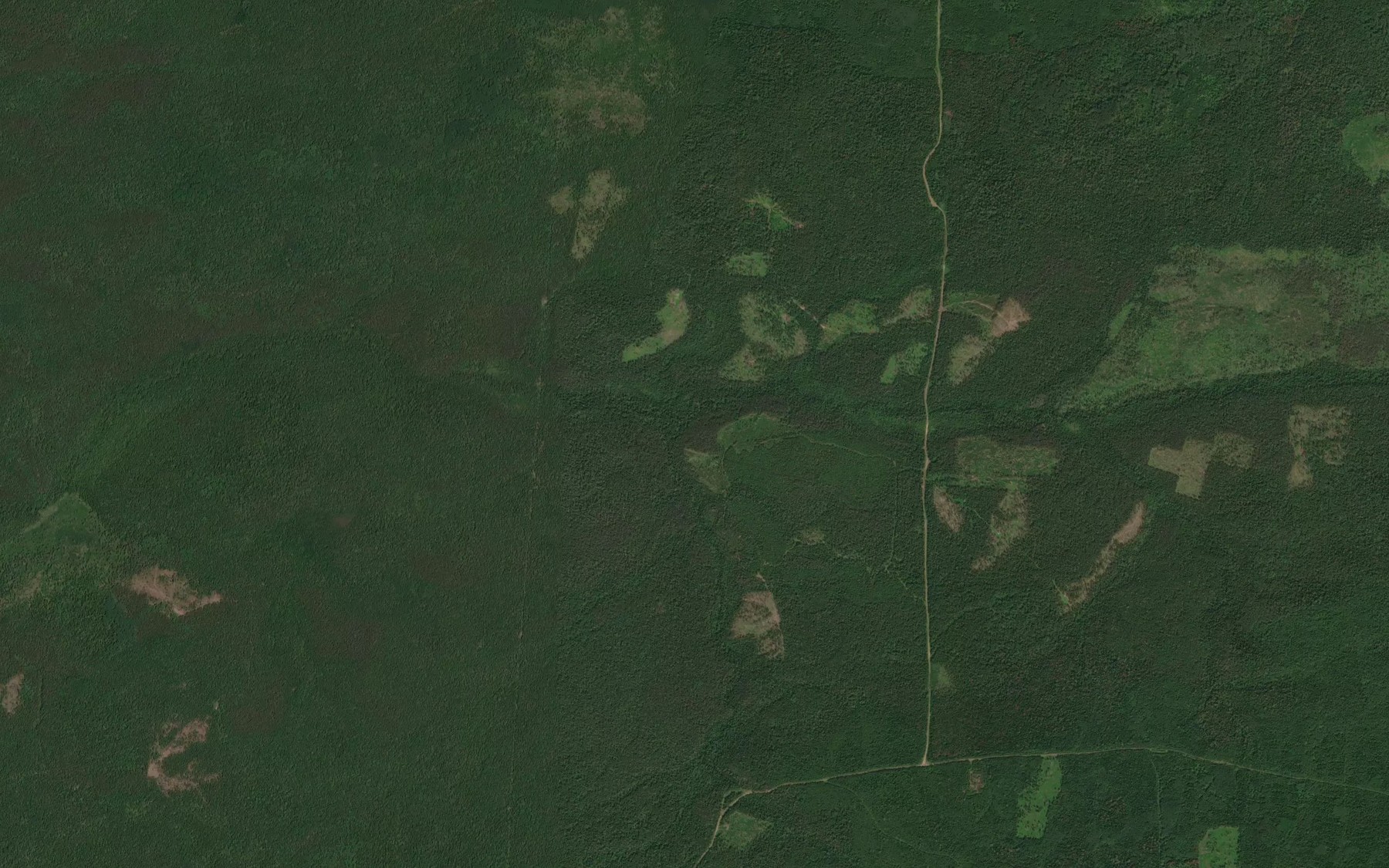 Satellite map of the Ruchey Gorevka