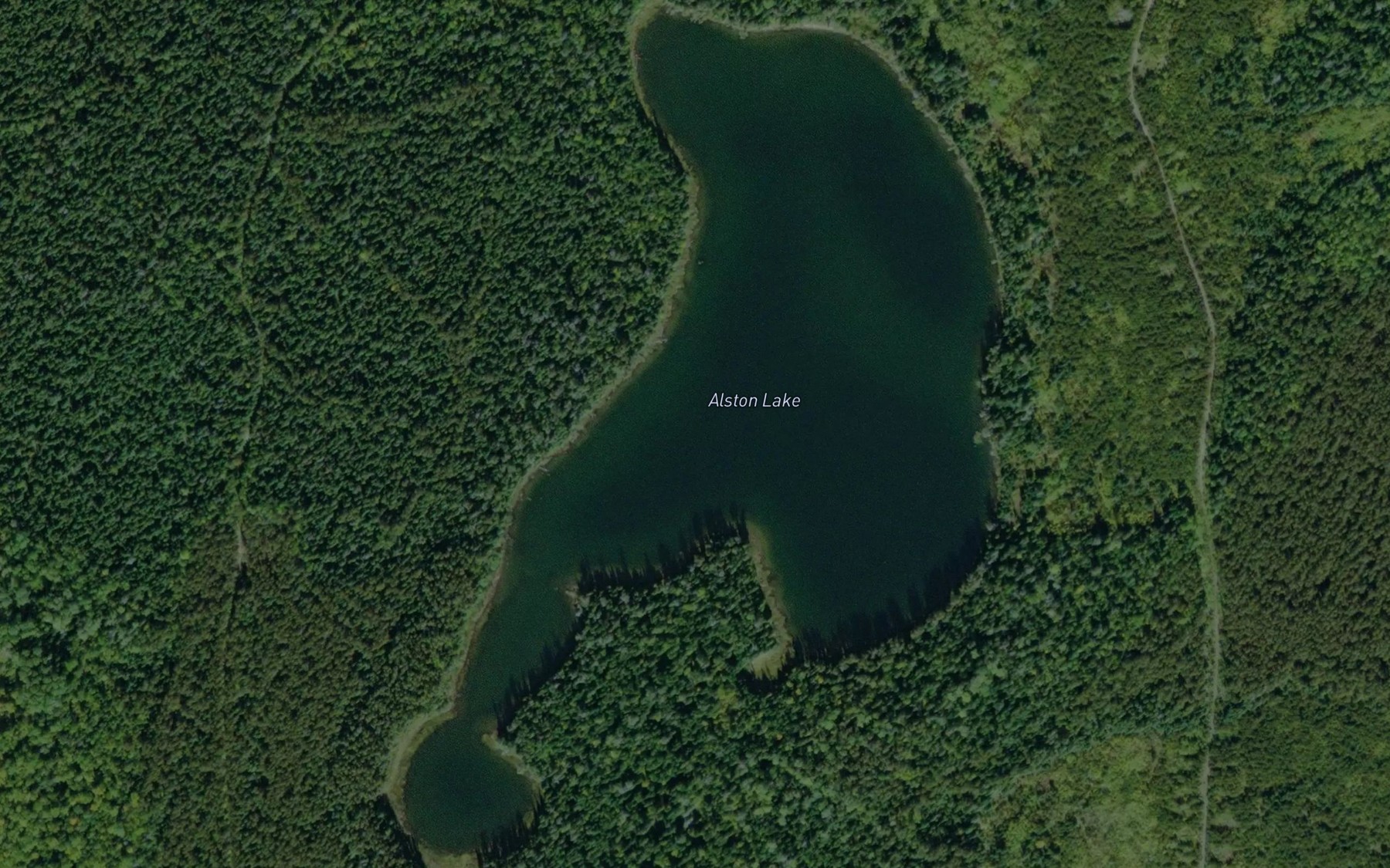 Satellite map of the Alston Lake