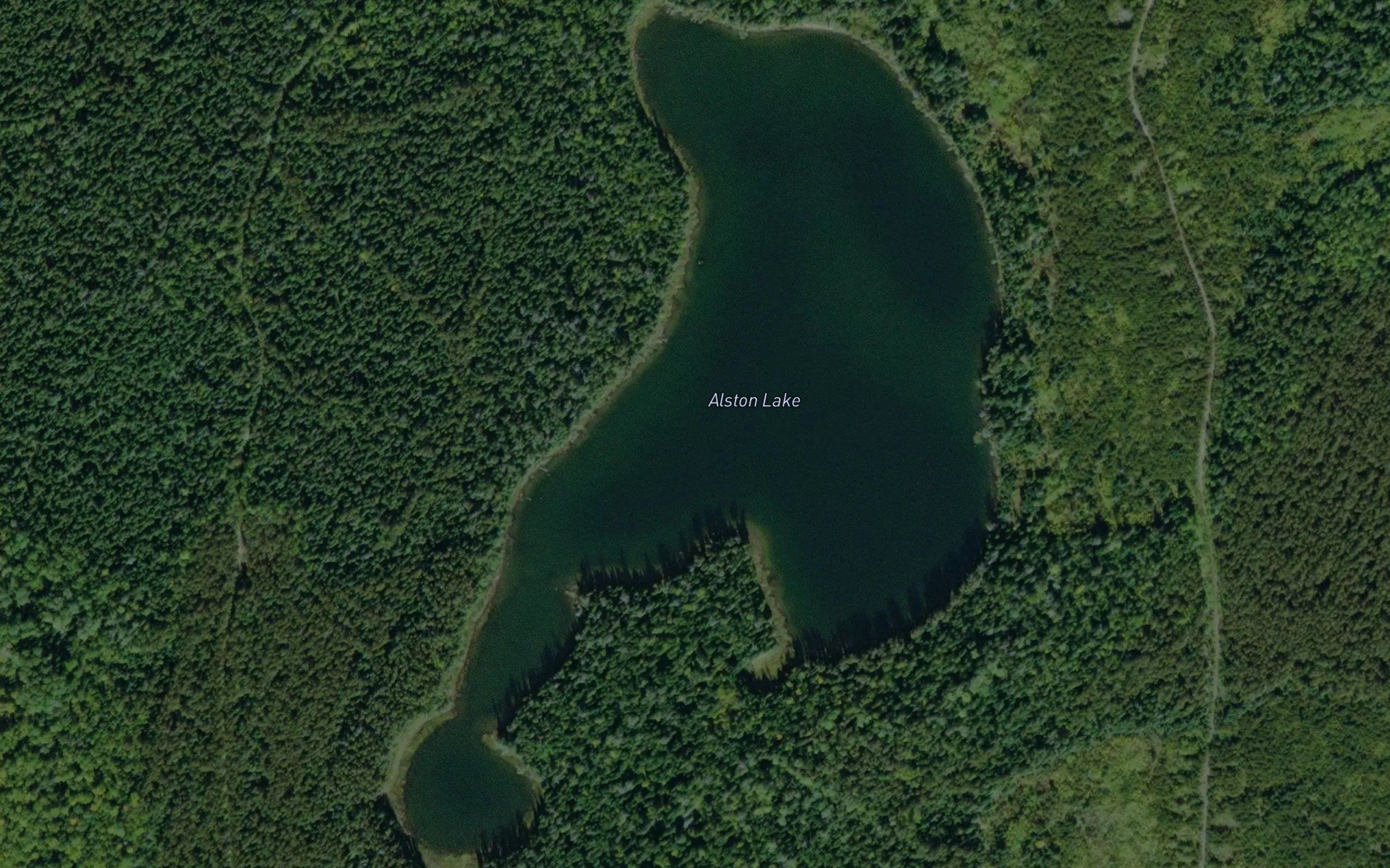 Alston Lake