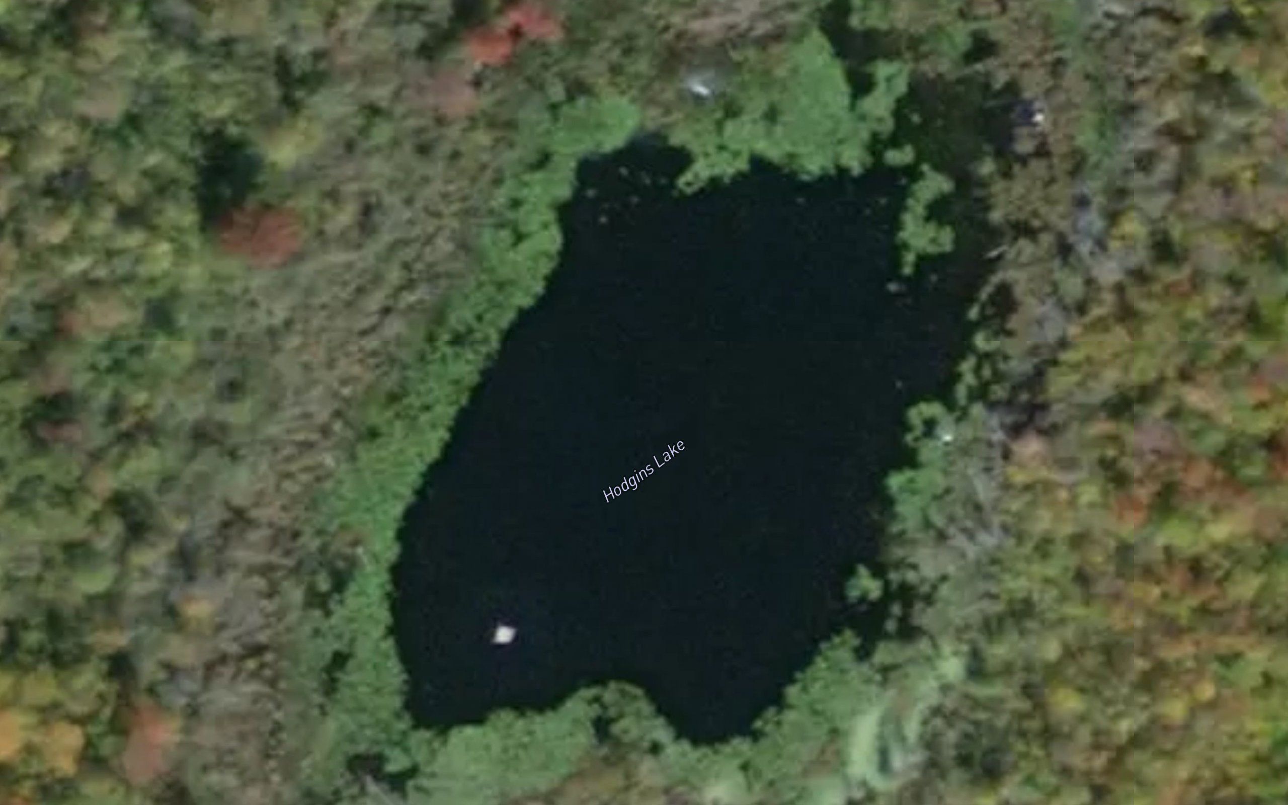 Hodgins Lake