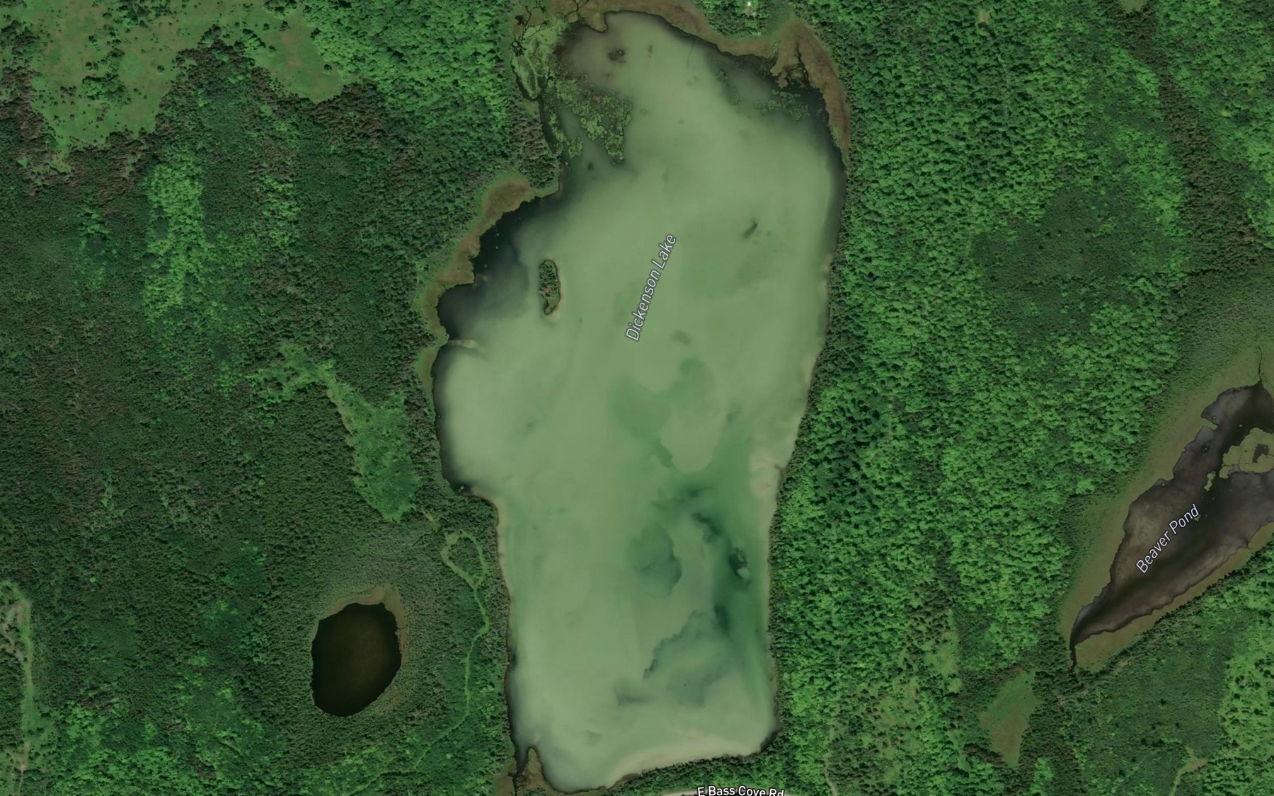 Satellite map of the Dickenson Lake
