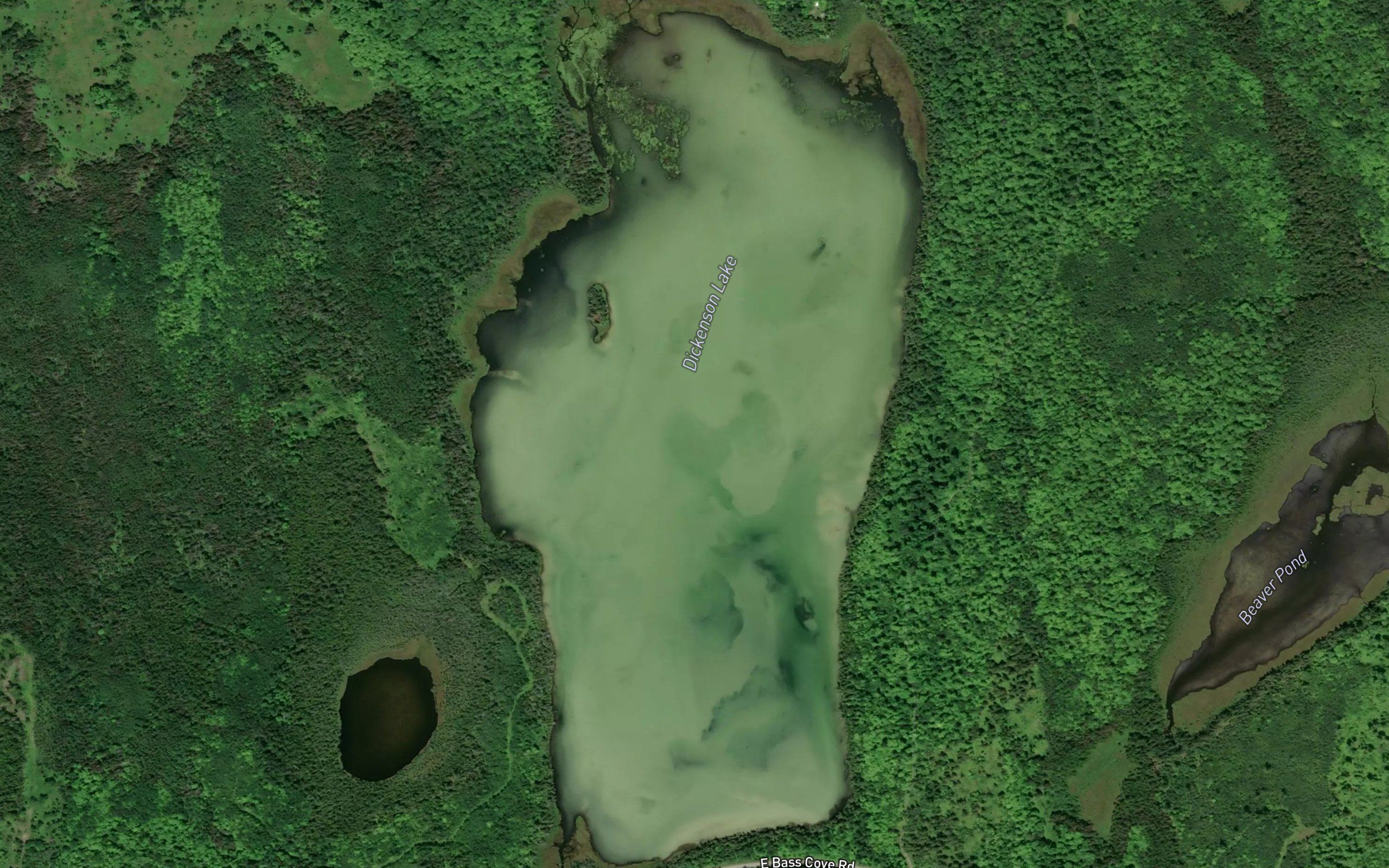 Dickenson Lake