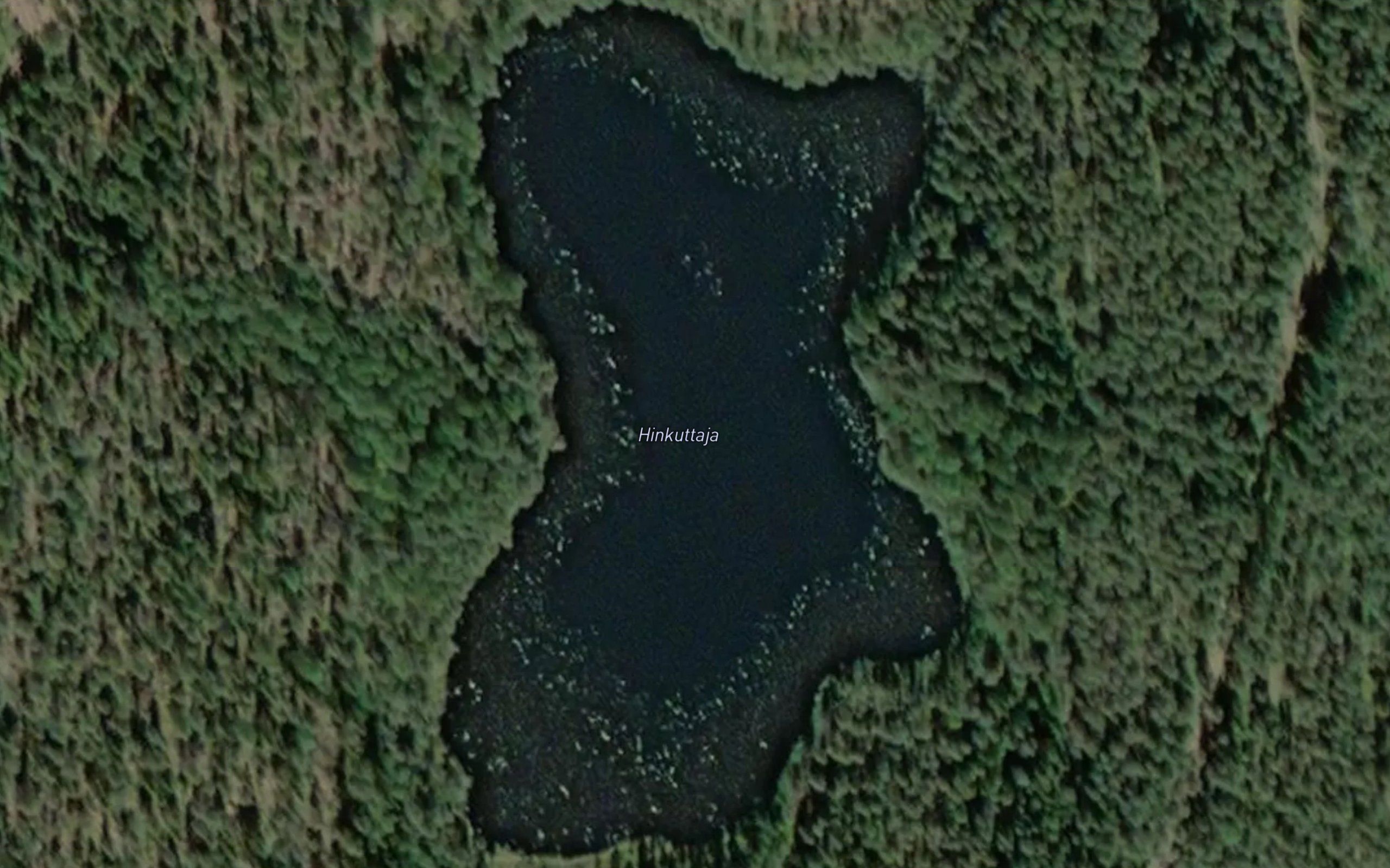 Hinkuttaja