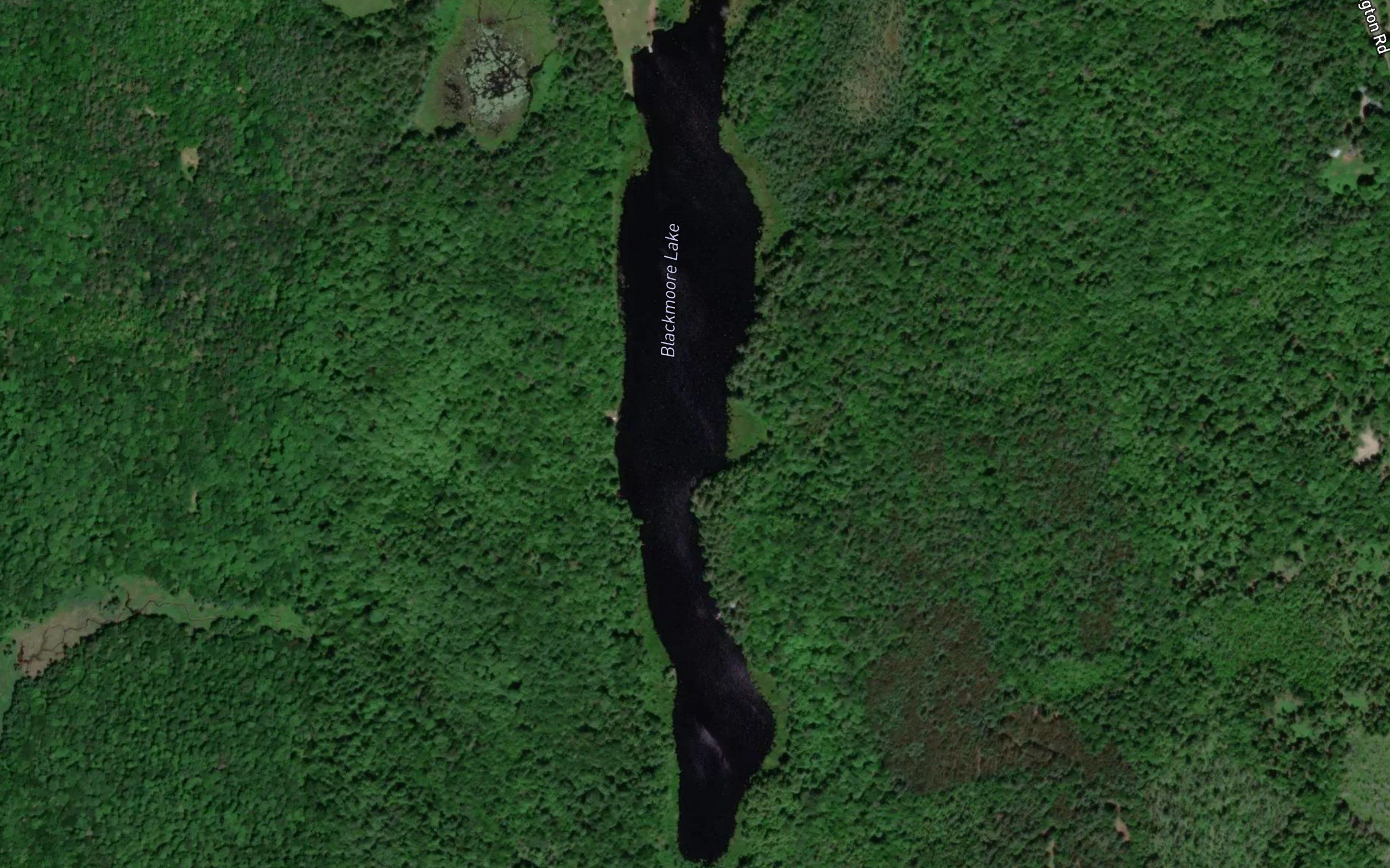 Blackmoore Lake