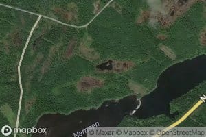 Lomtjornin