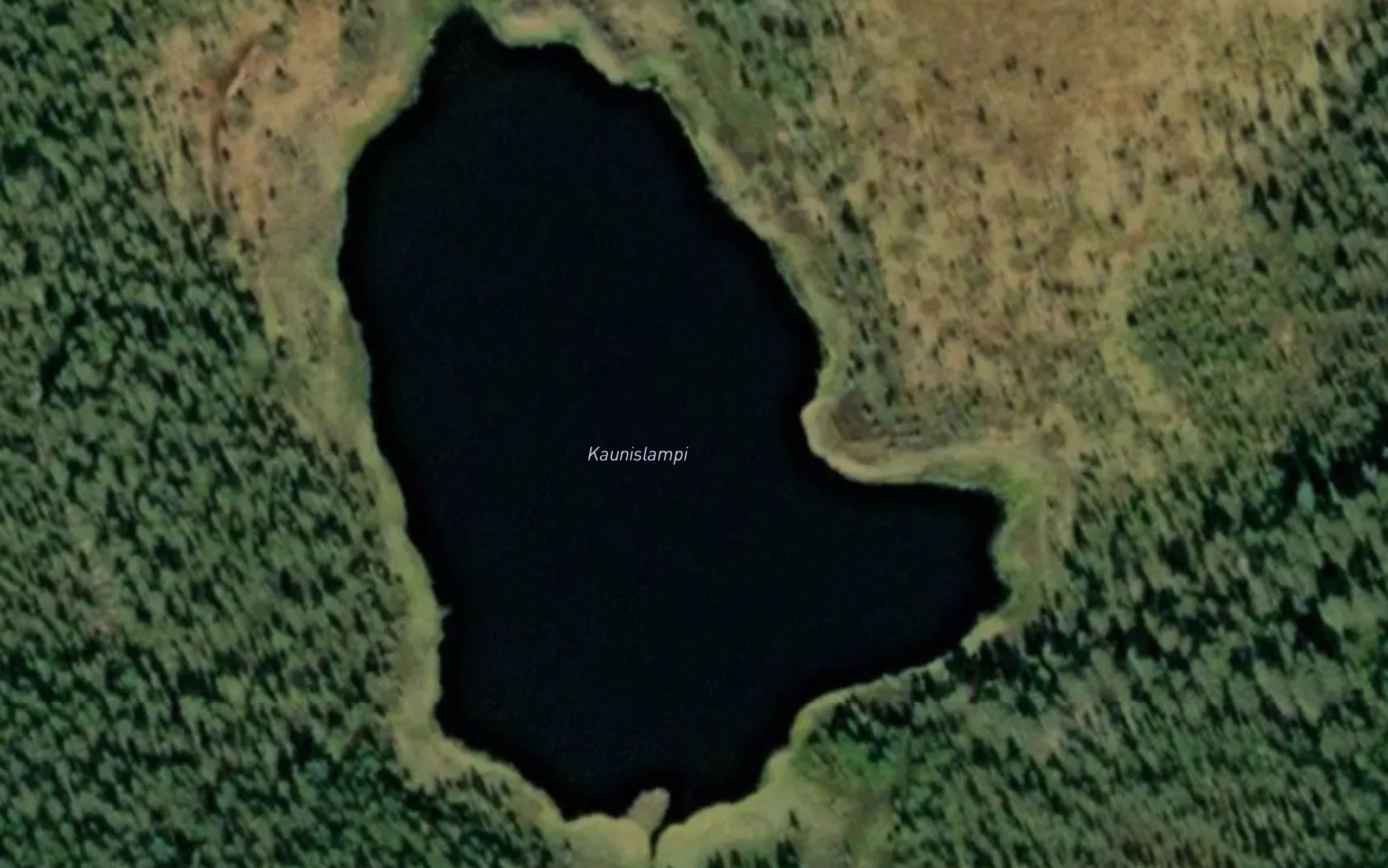 Kaunislampi